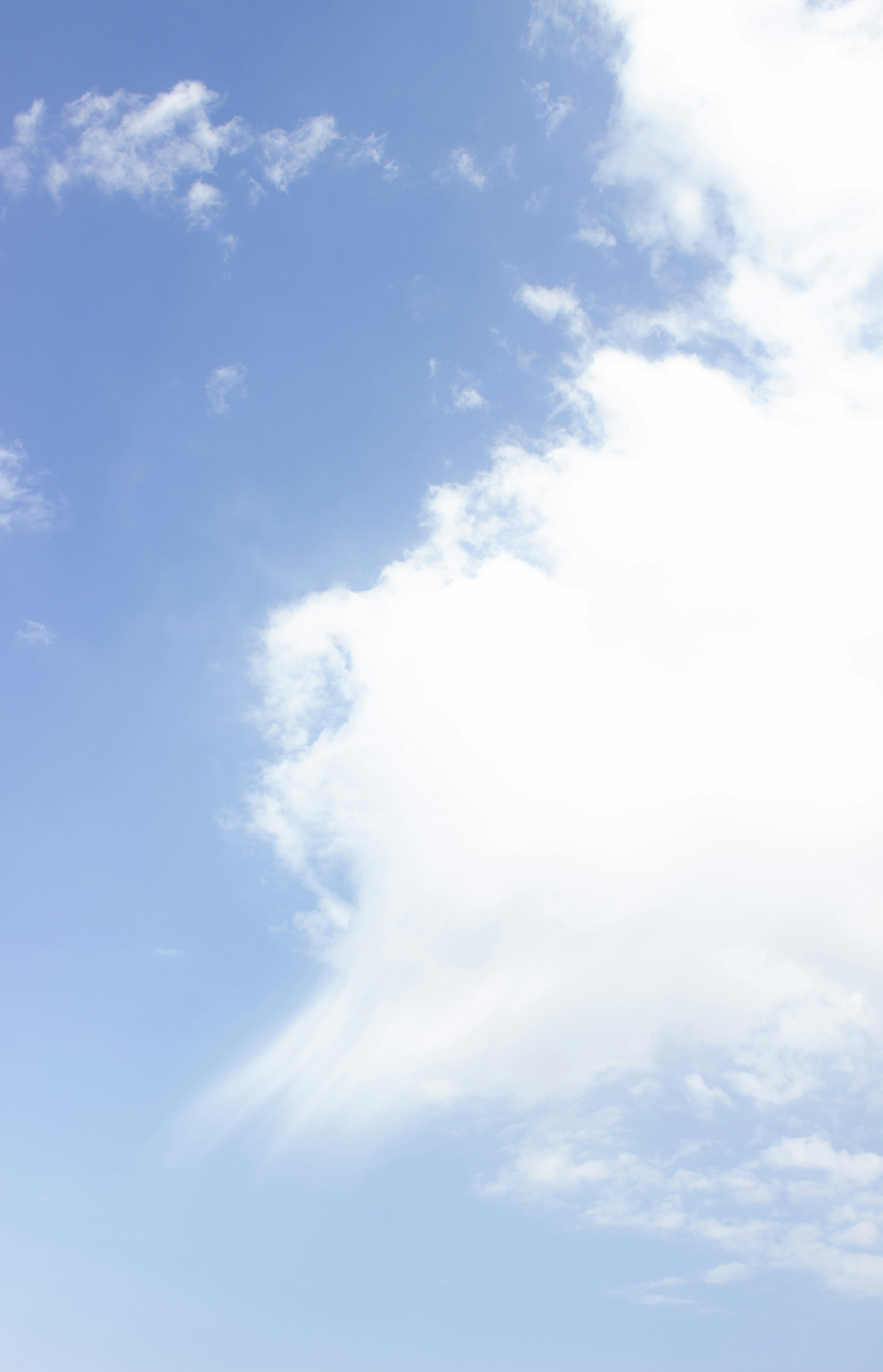 Photo by elham_frame