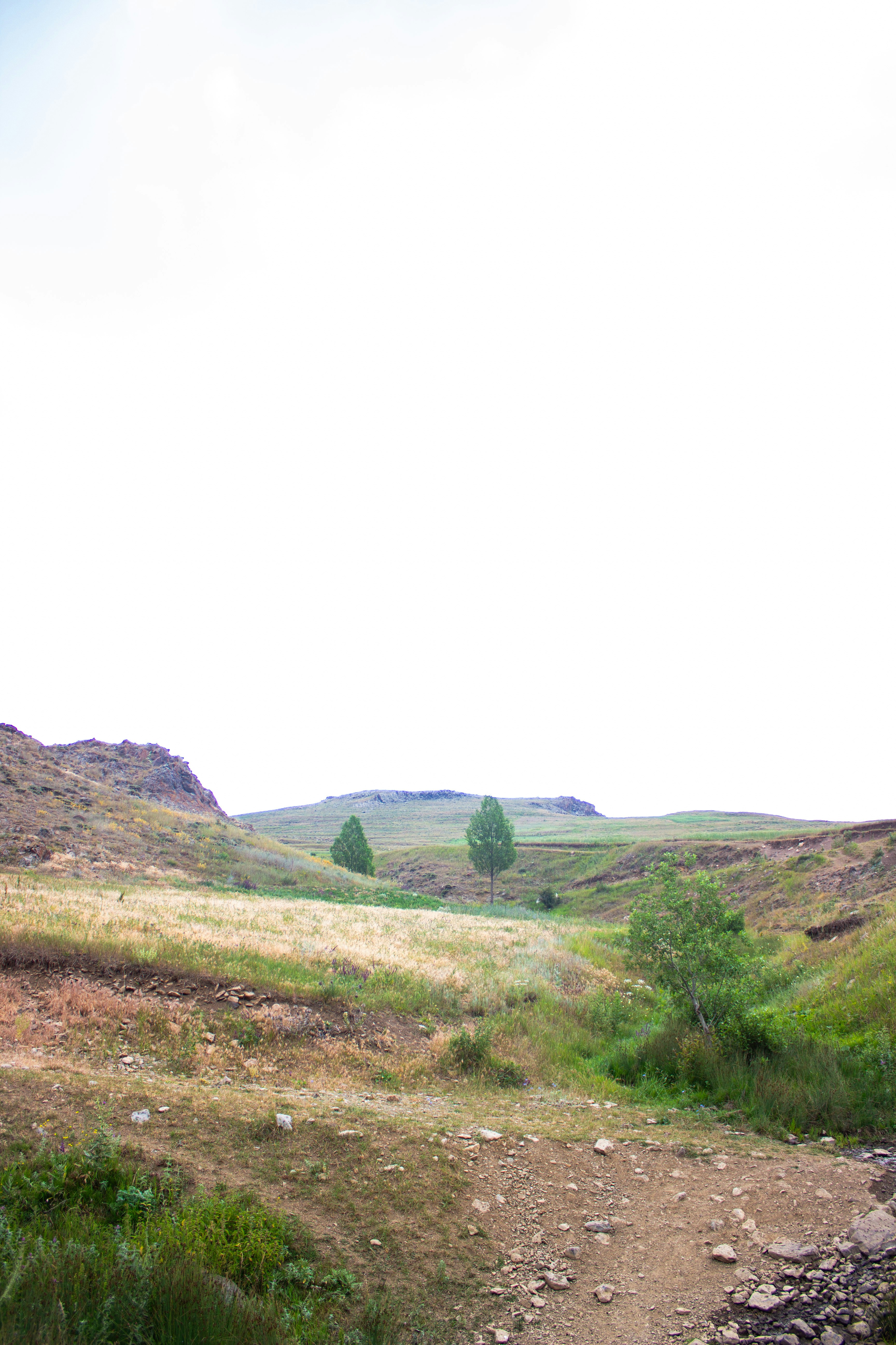 Photo by elham_frame