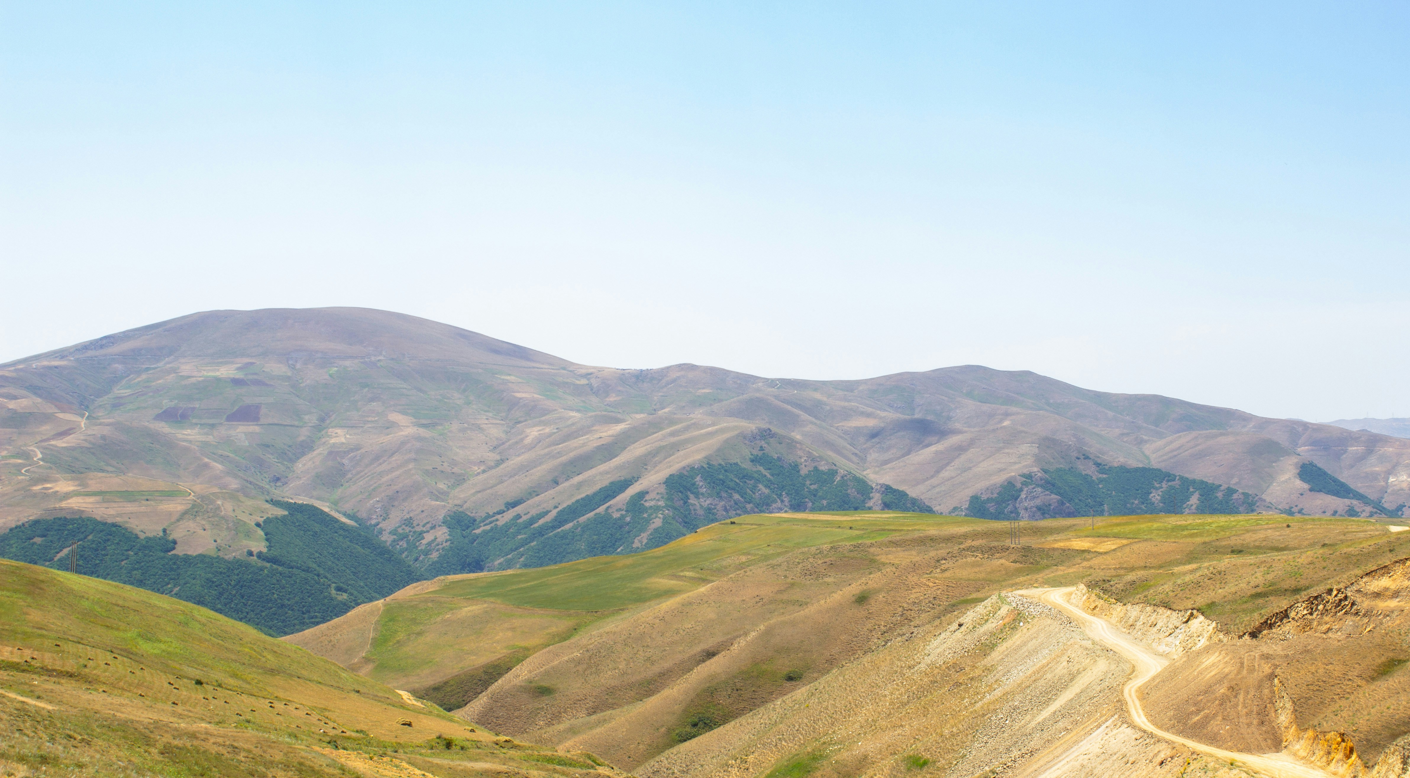 Photo by elham_frame