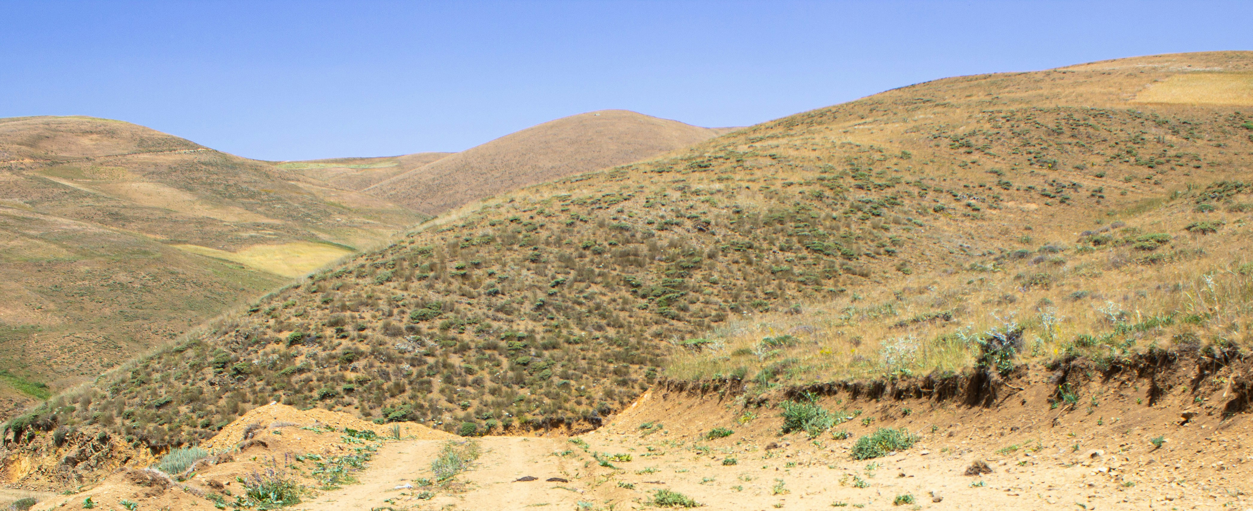 Photo by elham_frame