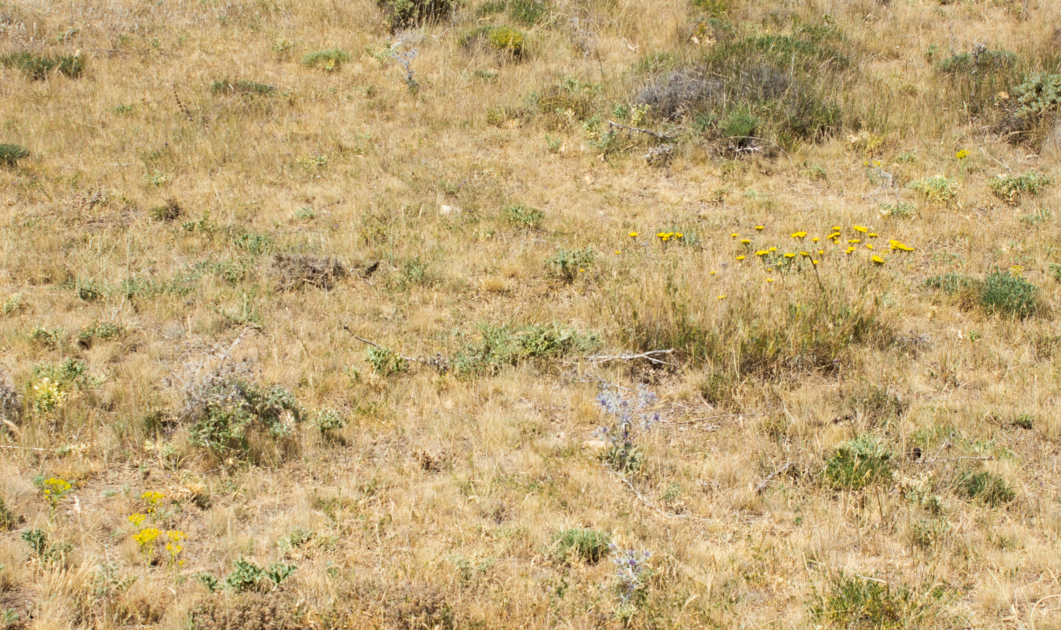 Photo by elham_frame