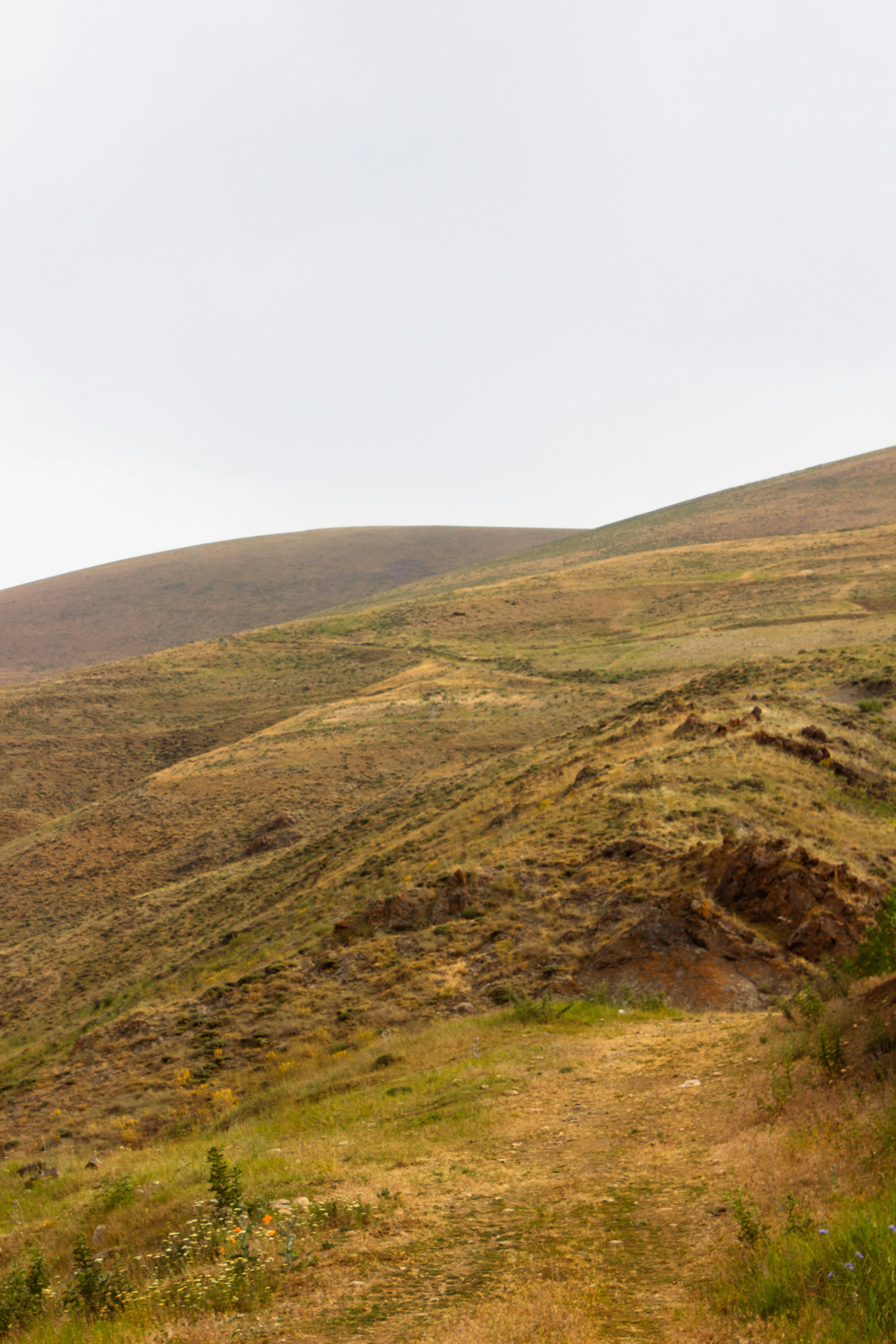 Photo by elham_frame