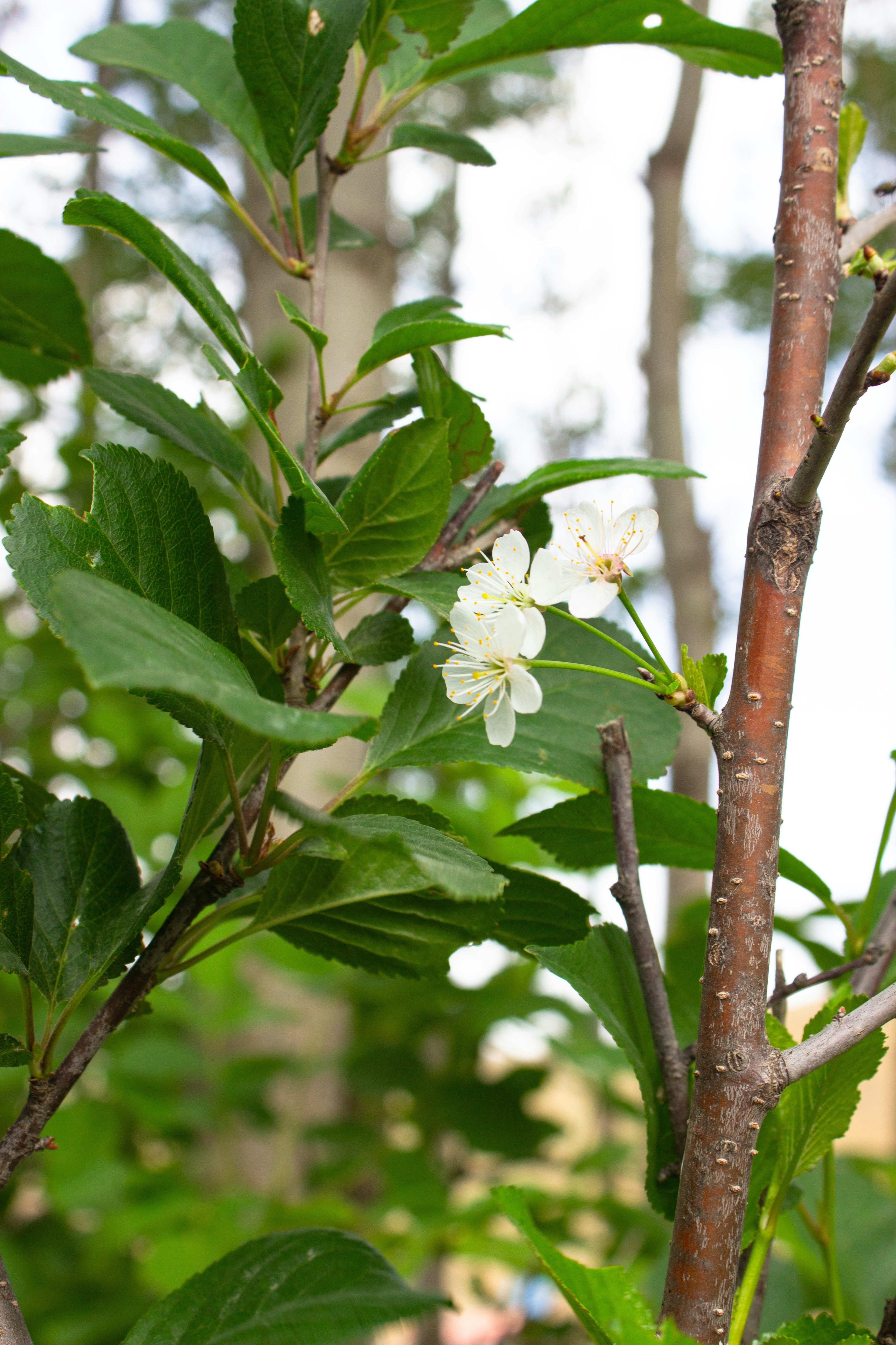 Photo by elham_frame