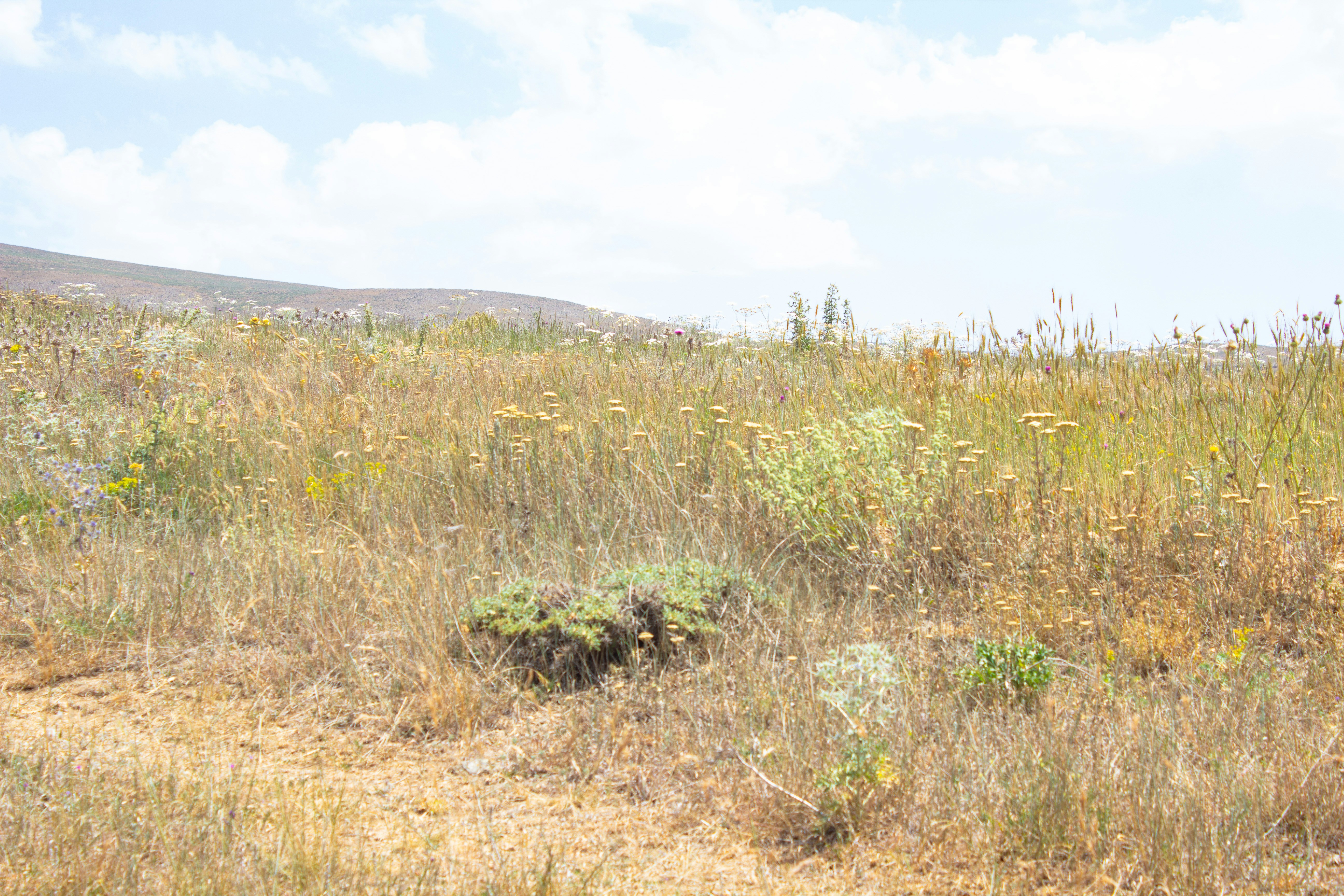 Photo by elham_frame