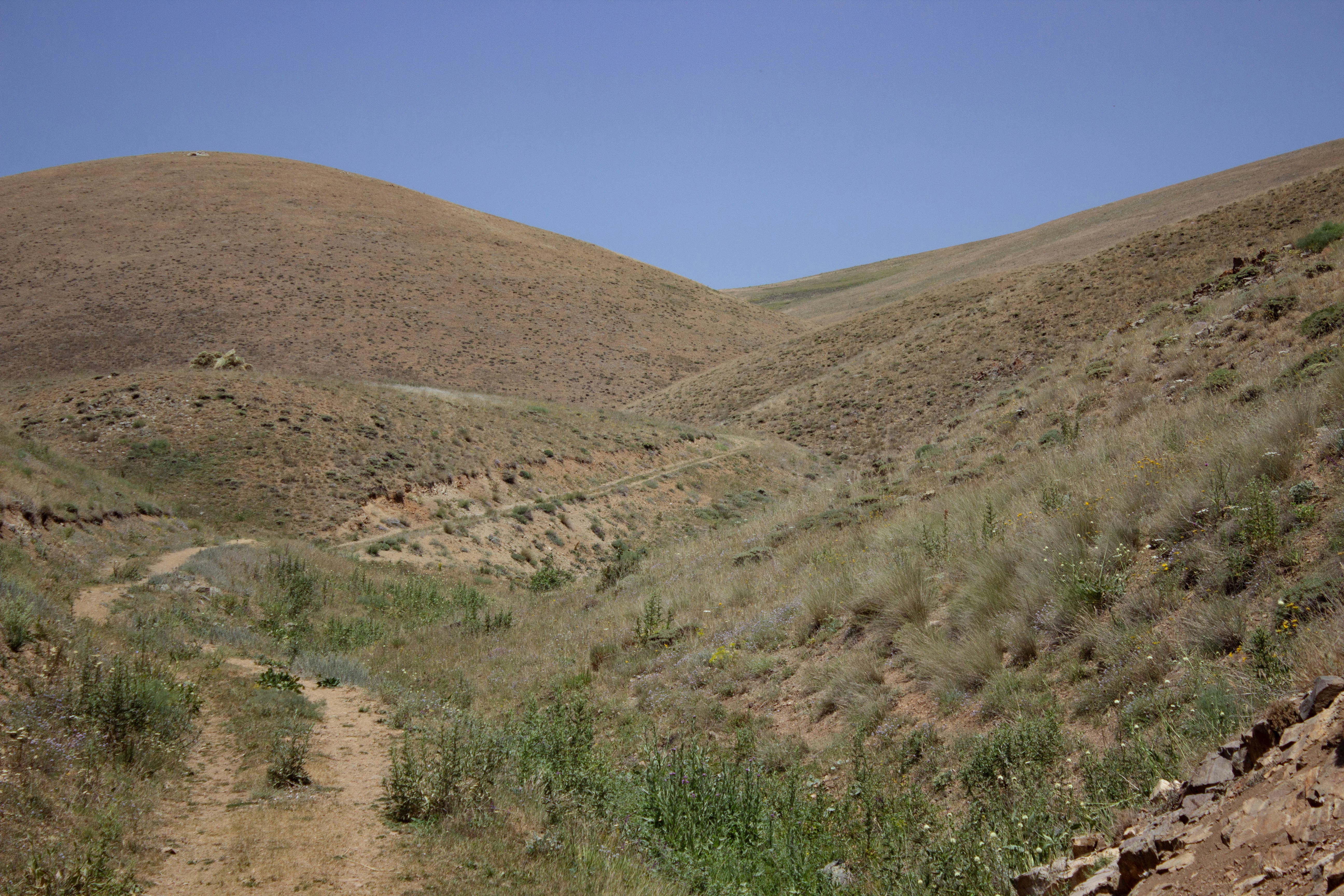 Valley Trails Park