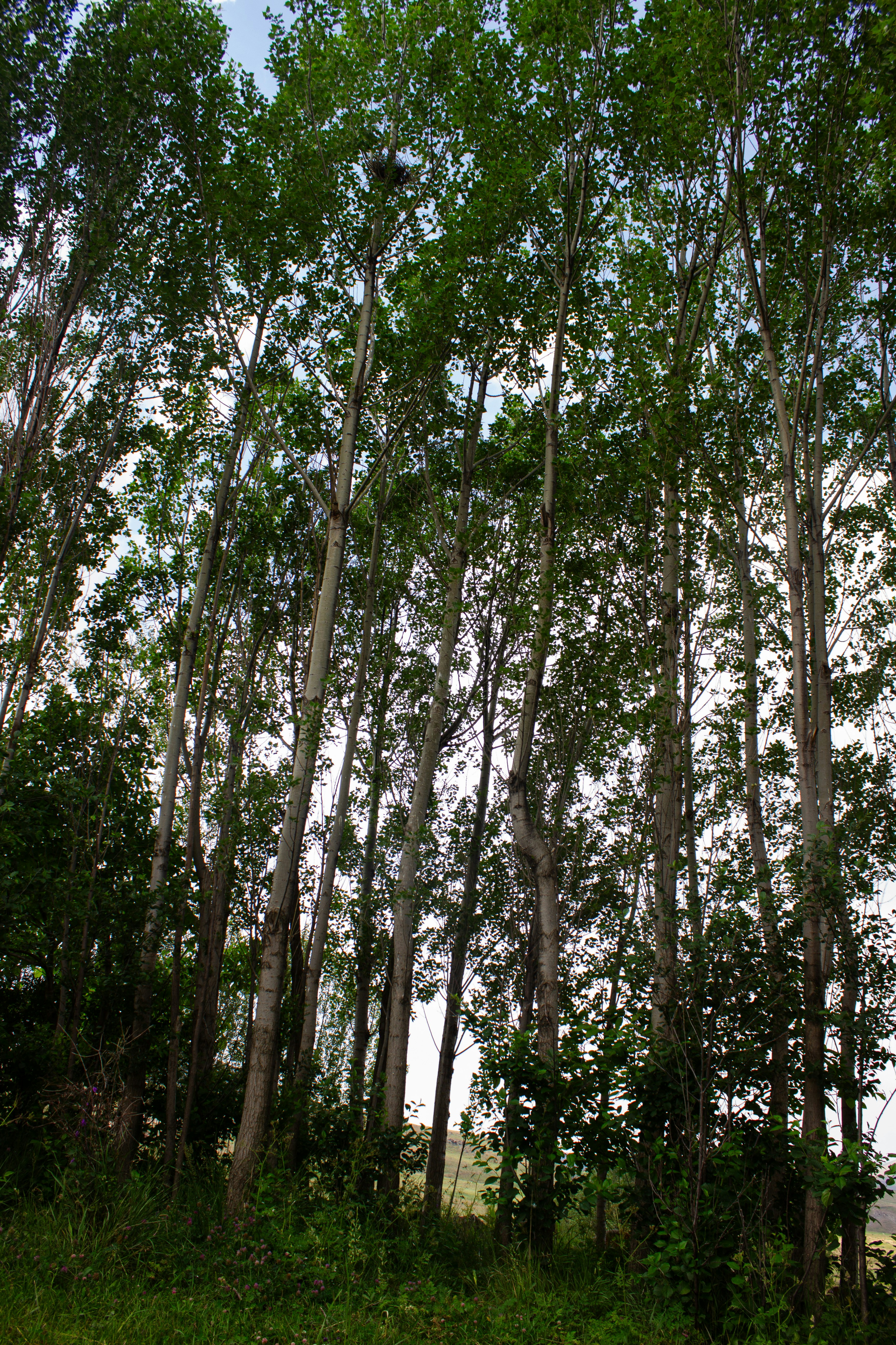 Photo by elham_frame