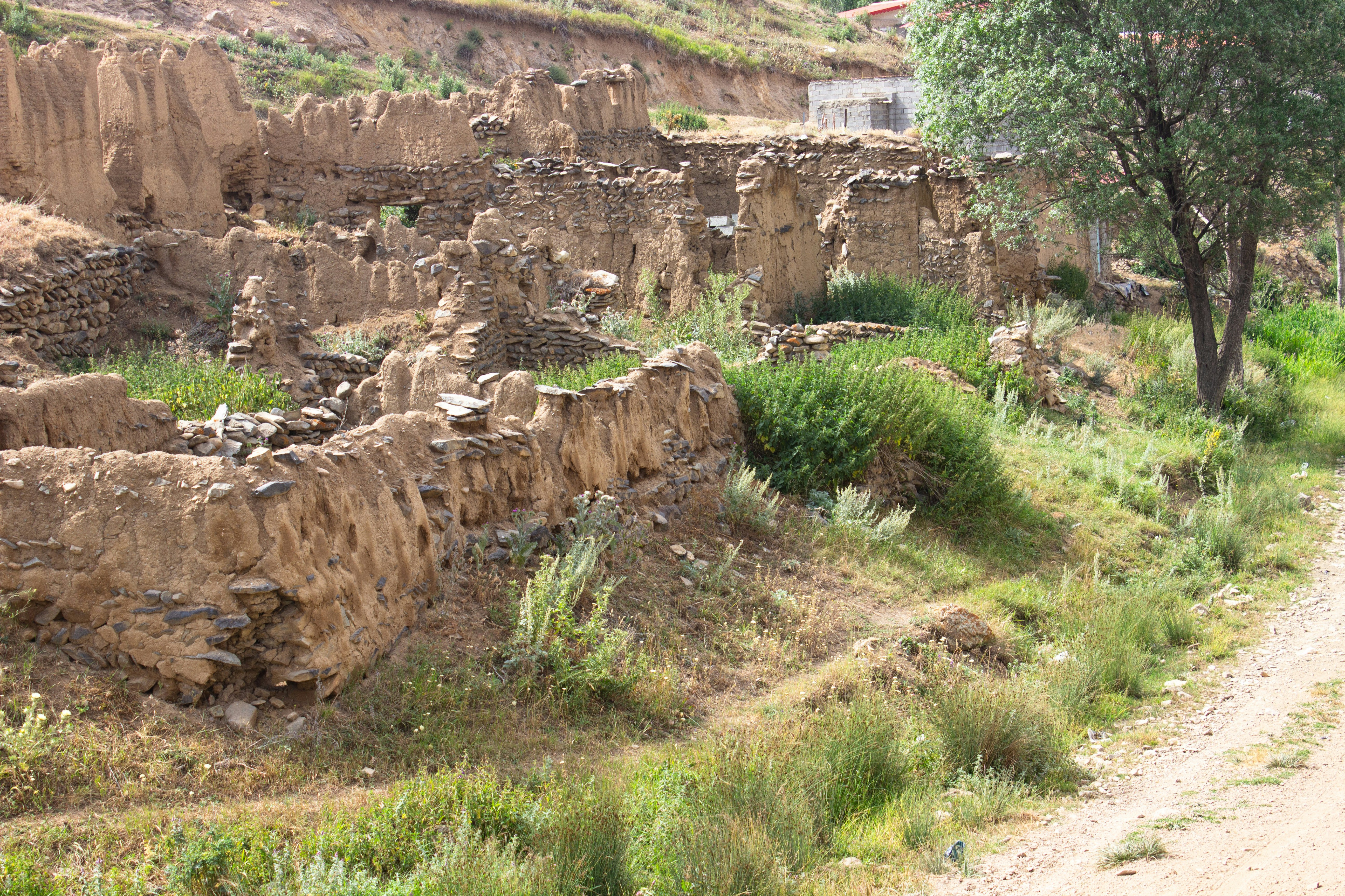 Photo by elham_frame