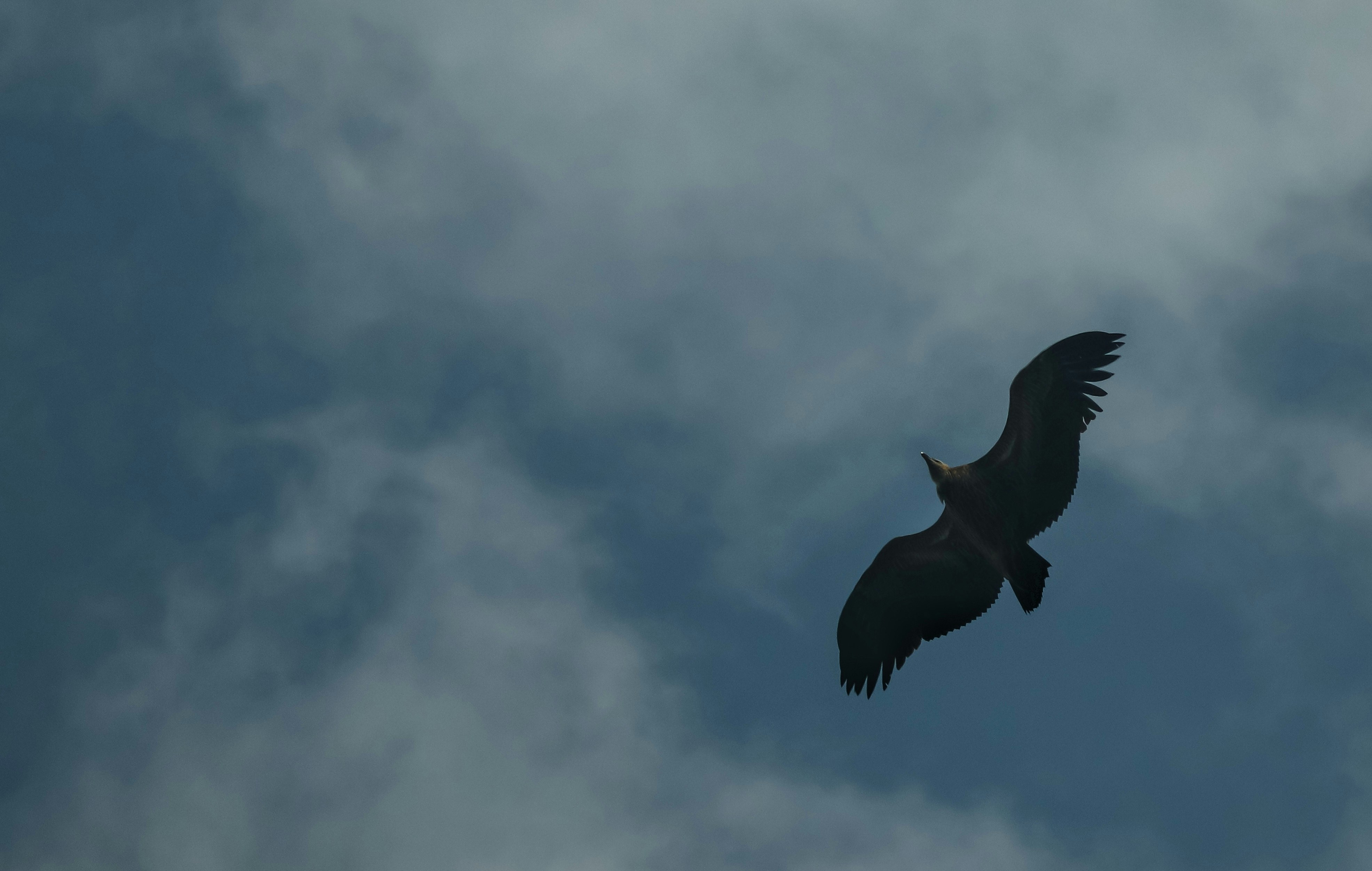 Photo by ver_1983_satya