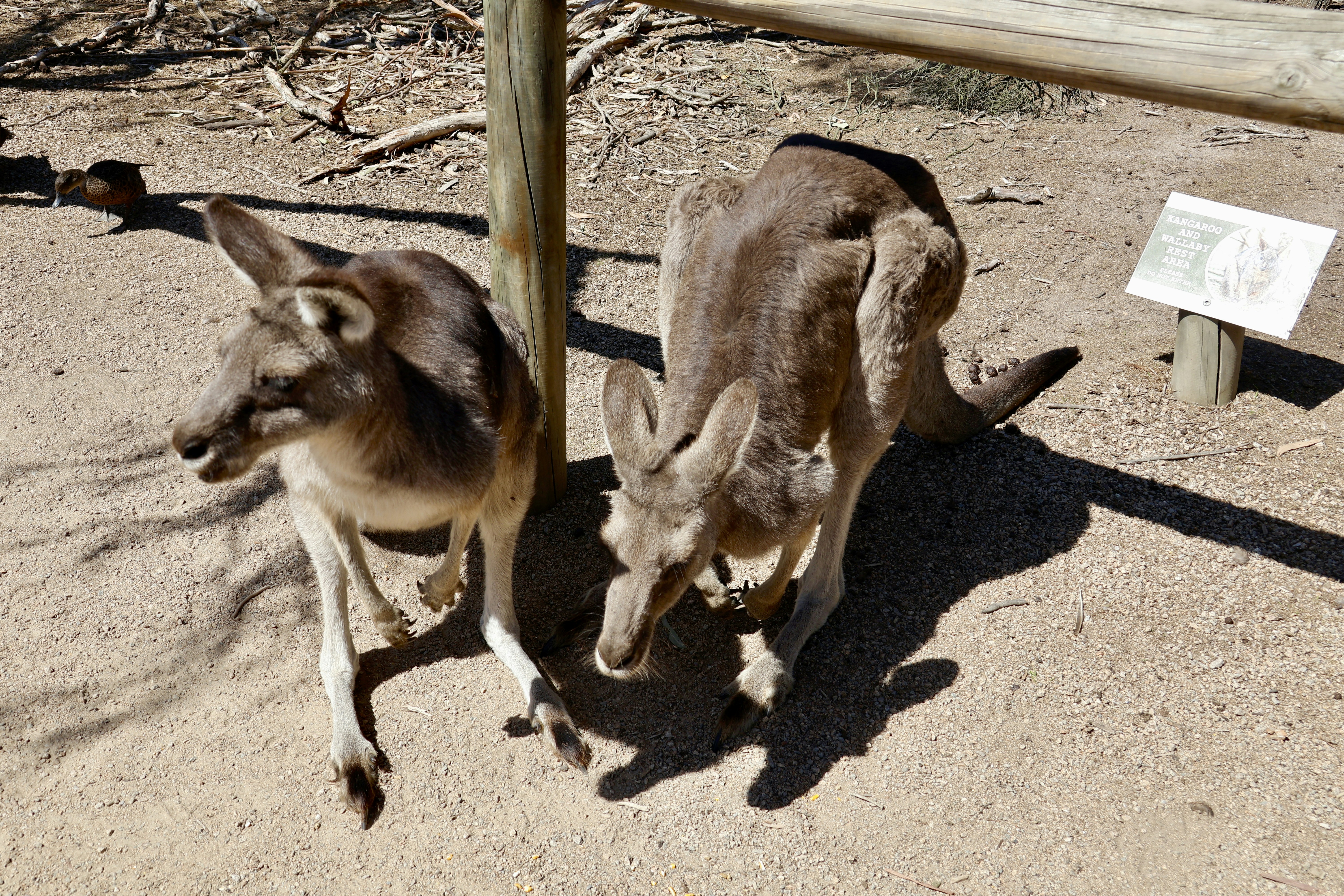 Territory Wildlife Park