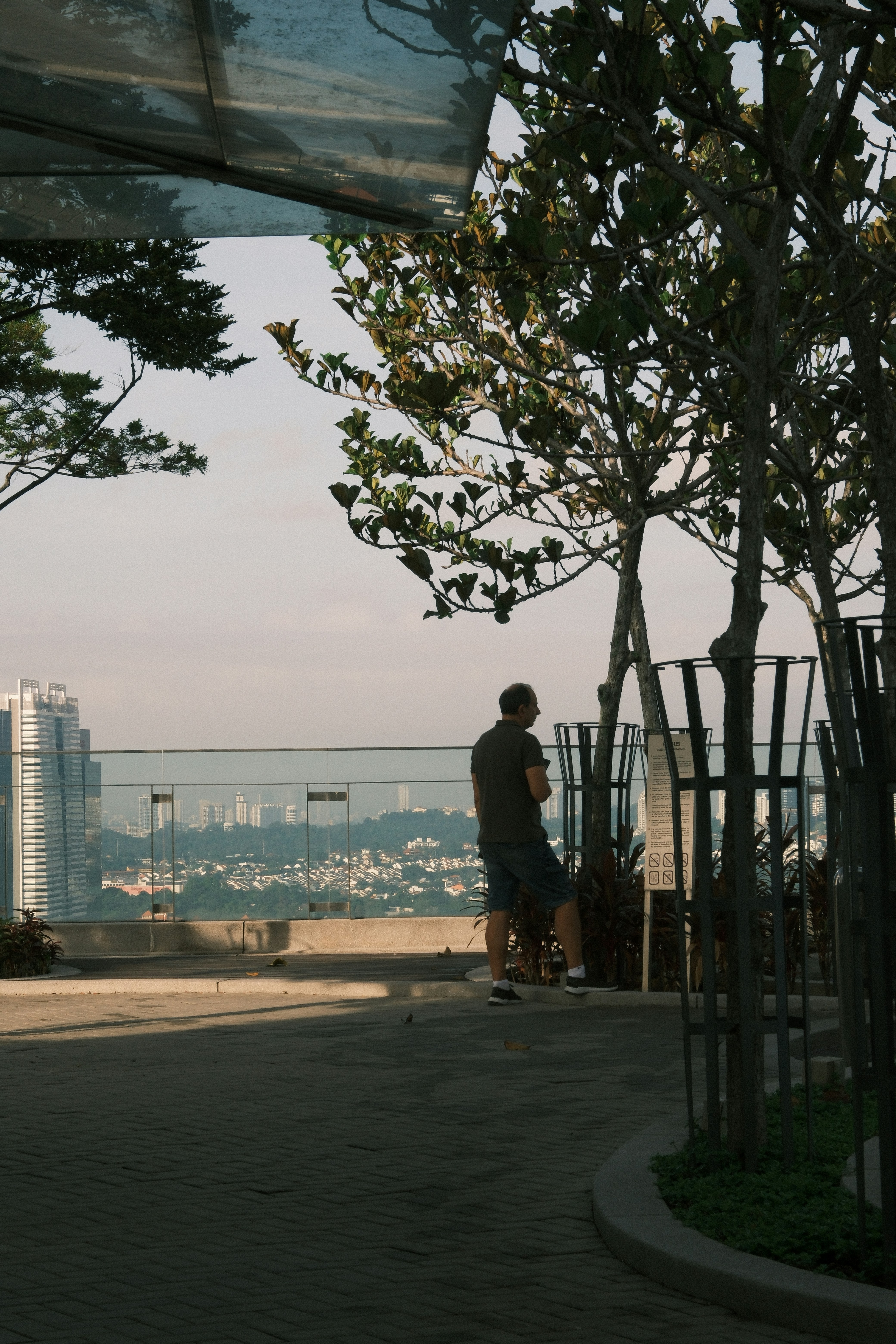 Un homme regardant le paysage urbain depuis un jardin sur le toit.