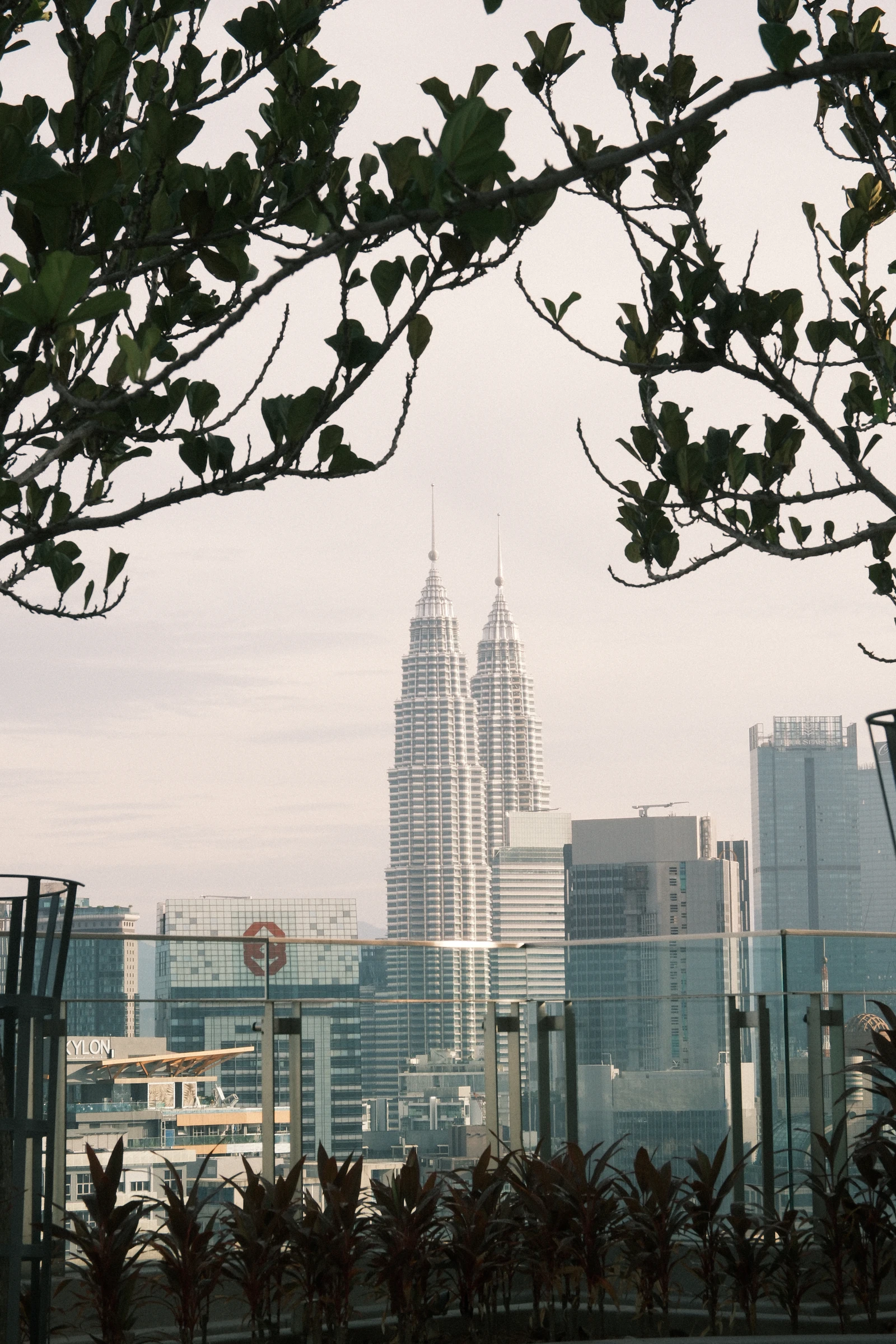 Petronas Twin Towers seen between trees from a residential rooftop in Kuala Lumpur