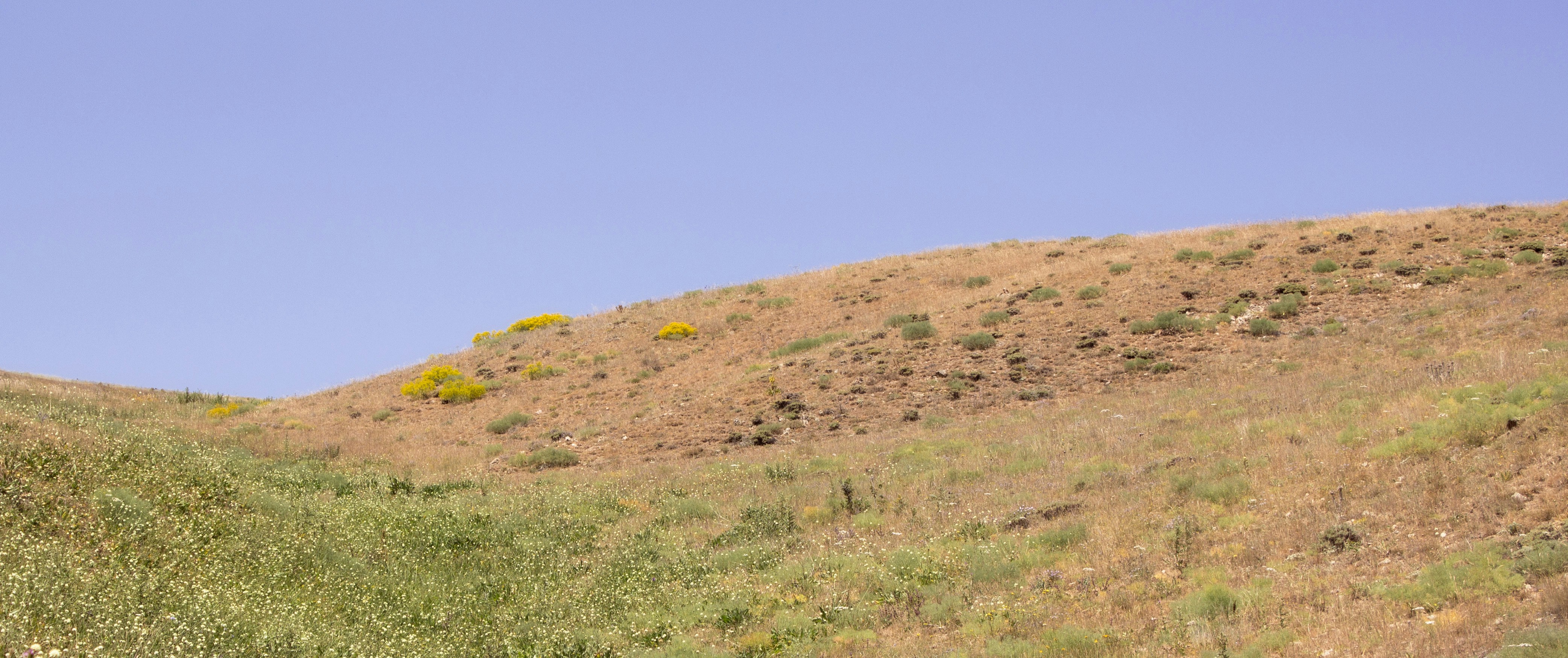 Photo by elham_frame