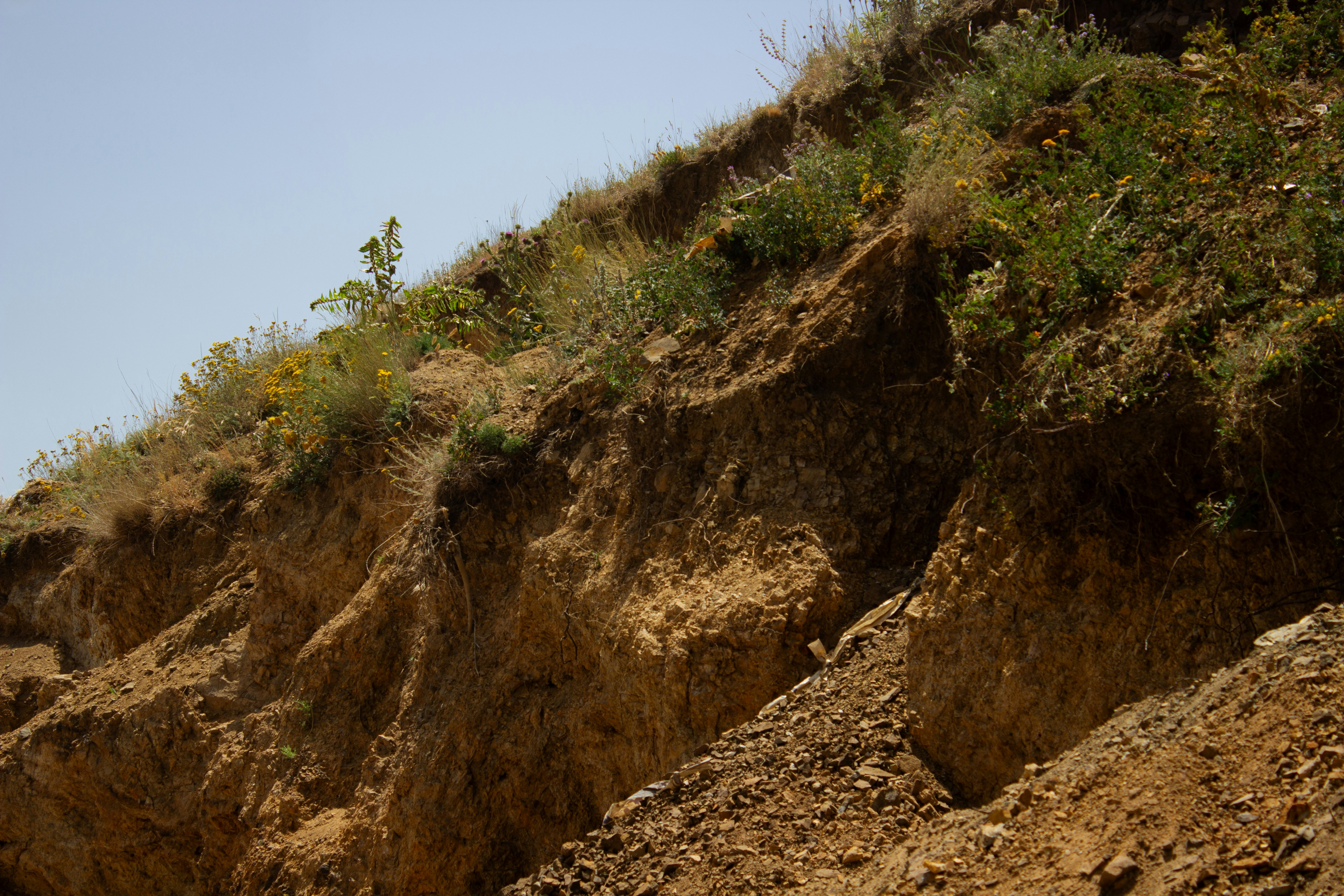 Photo by elham_frame