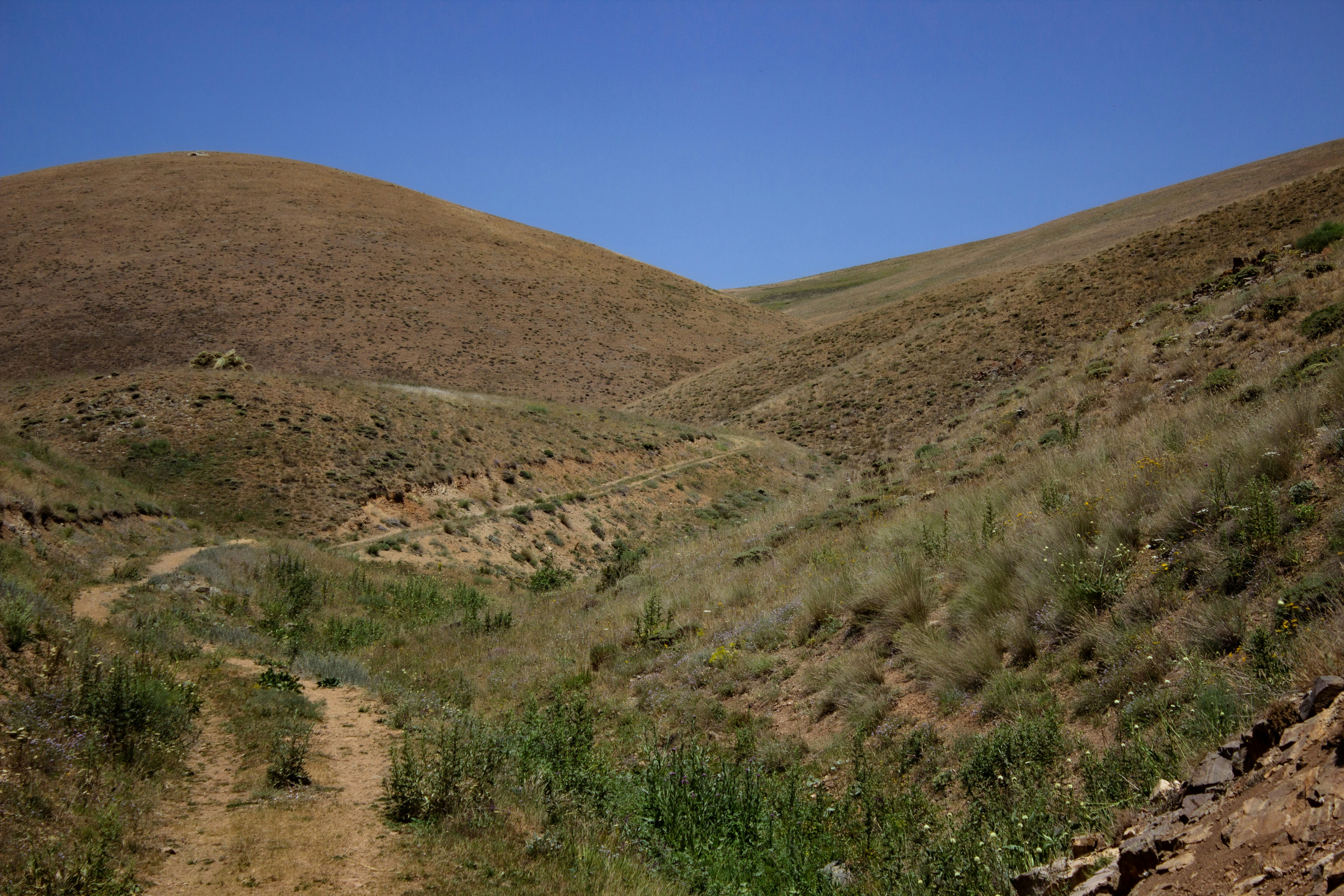 Dry hills with a path under a clear blue sky