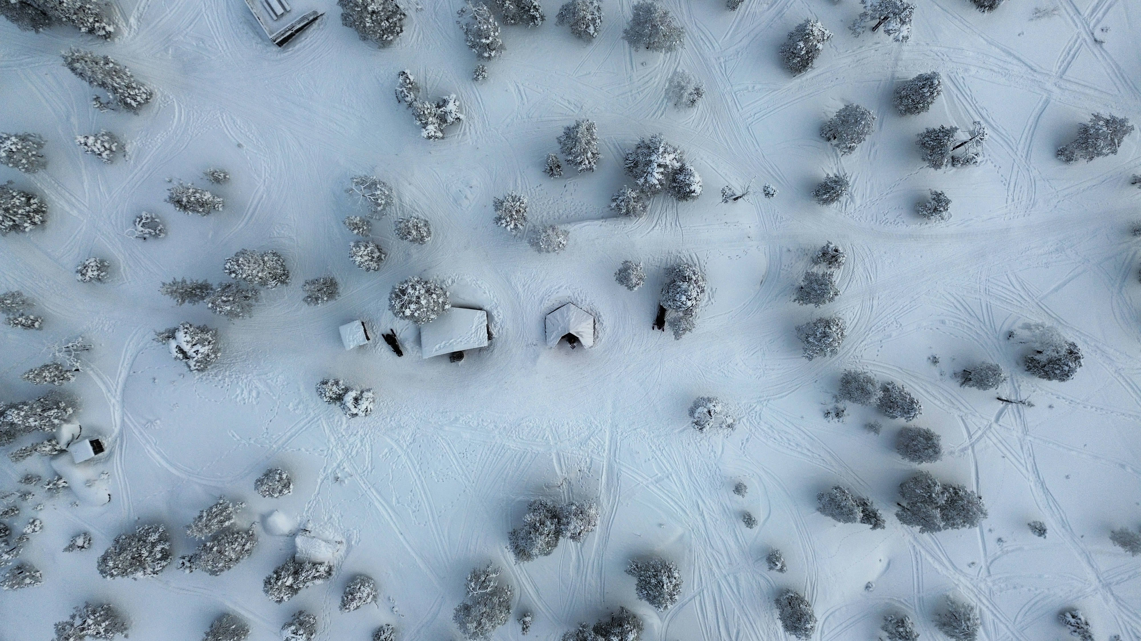 Aerial view of snow-covered trees and small buildings.