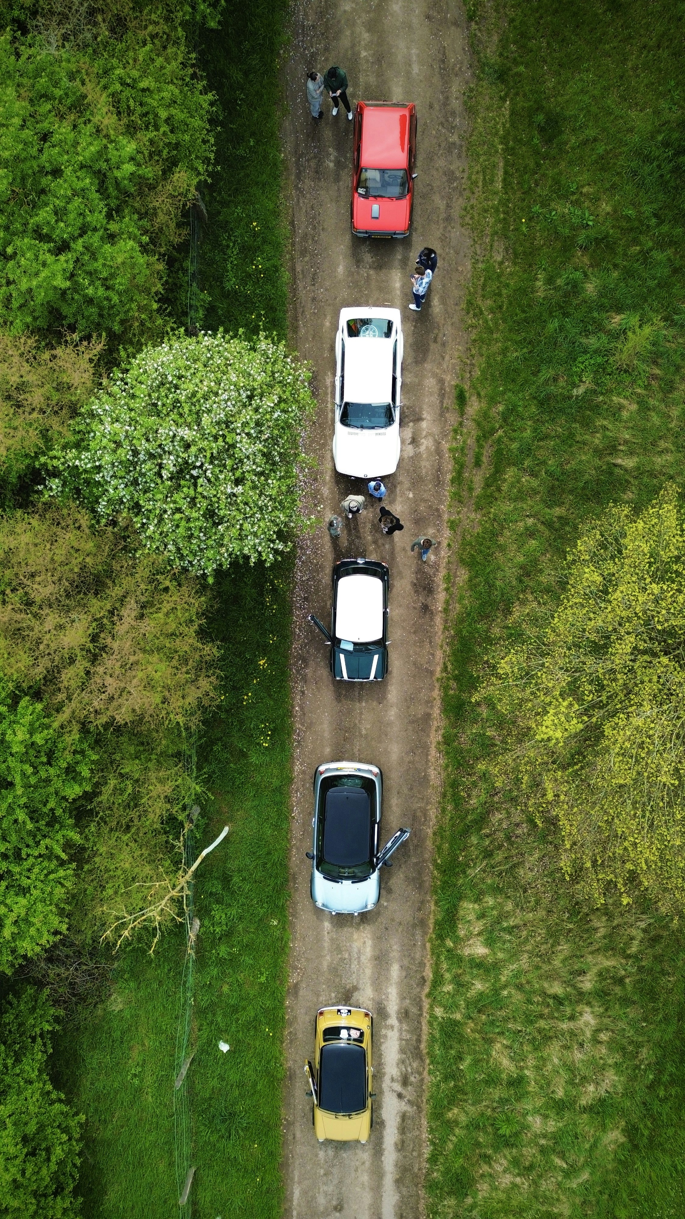 Cars parked on a dirt road surrounded by trees.