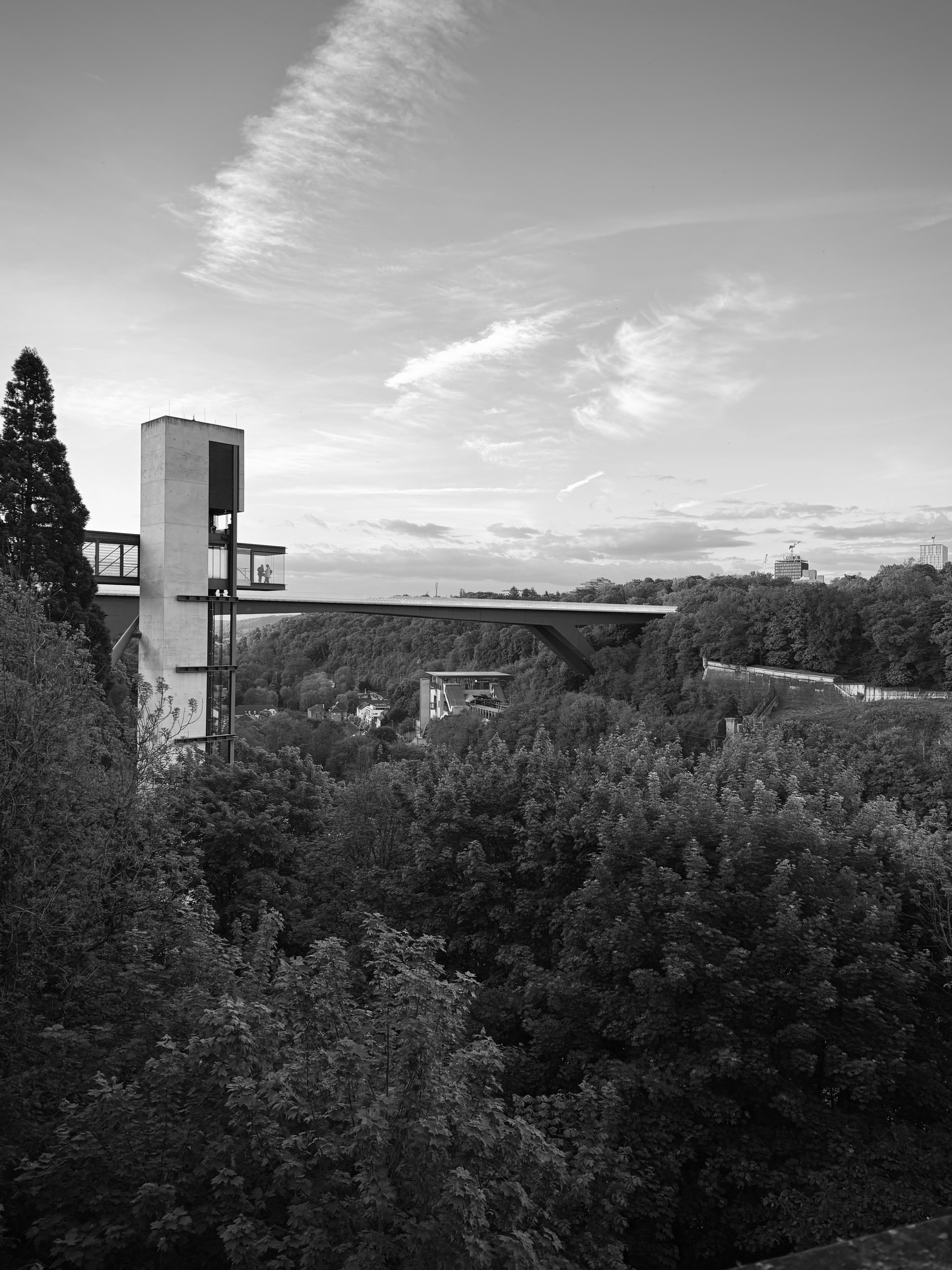 Modern elevator tower and bridge over forested valley