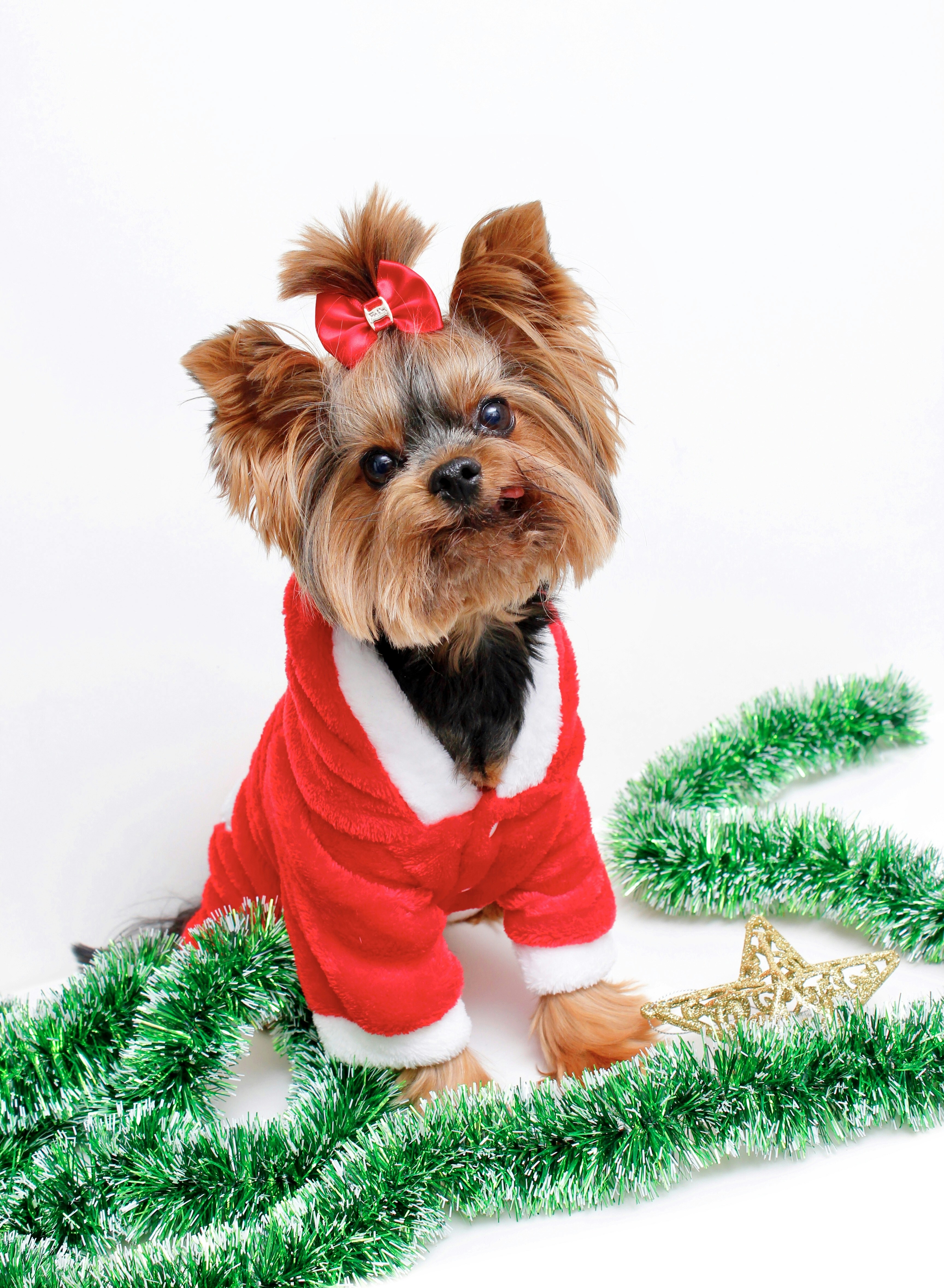 Photo by sergioartnoart