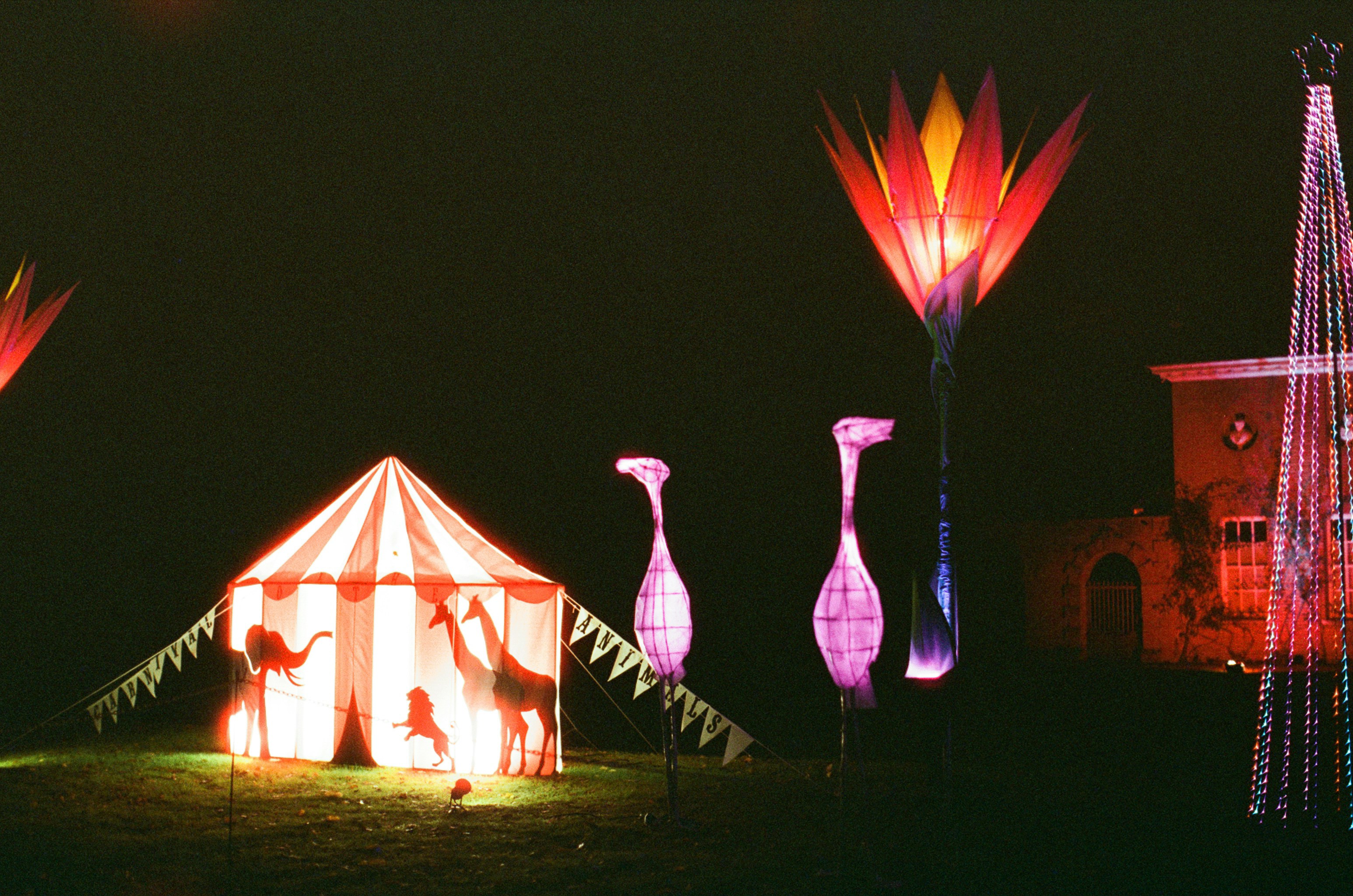 Photo by tanyabarrow