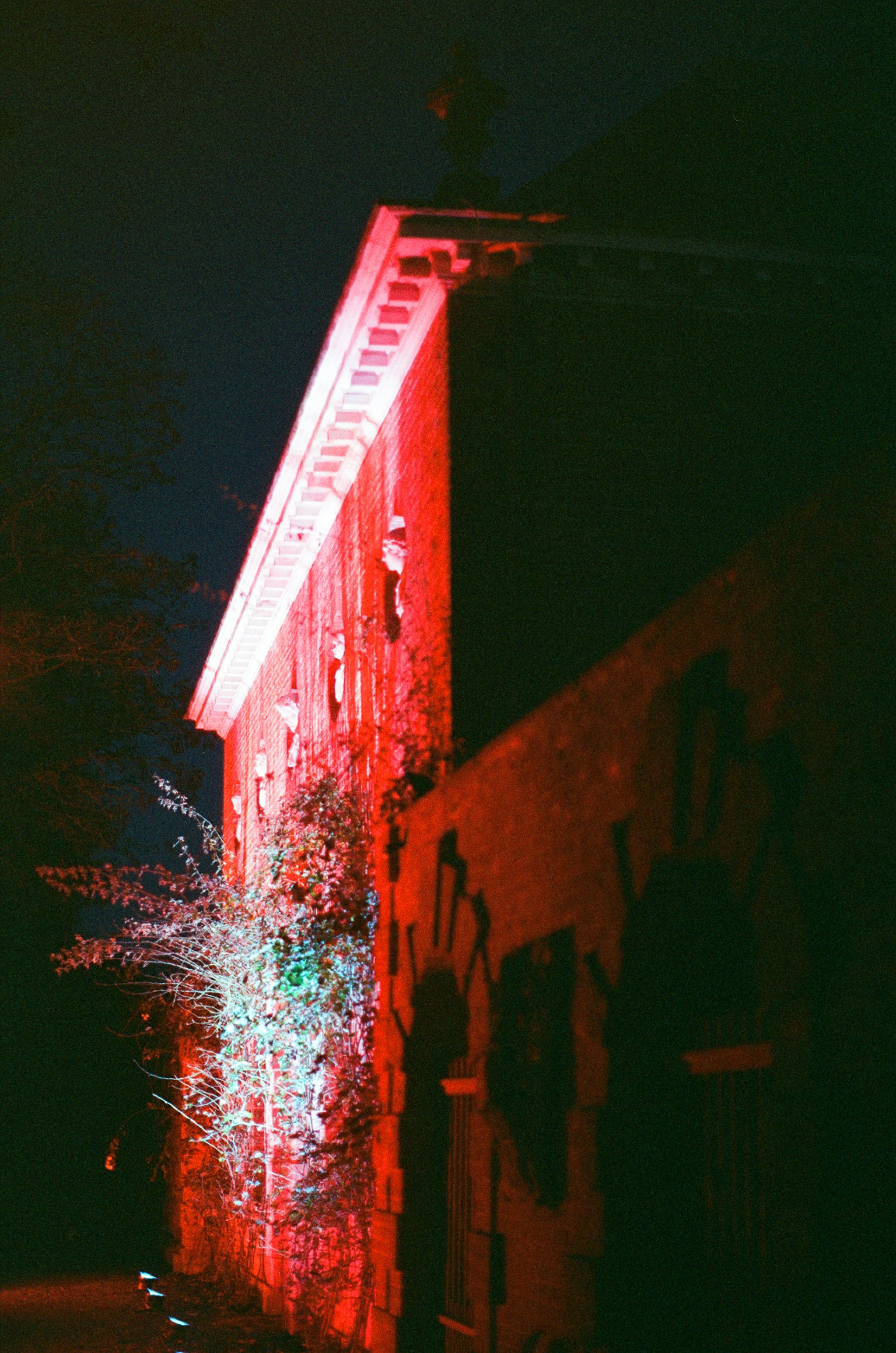 Photo by tanyabarrow