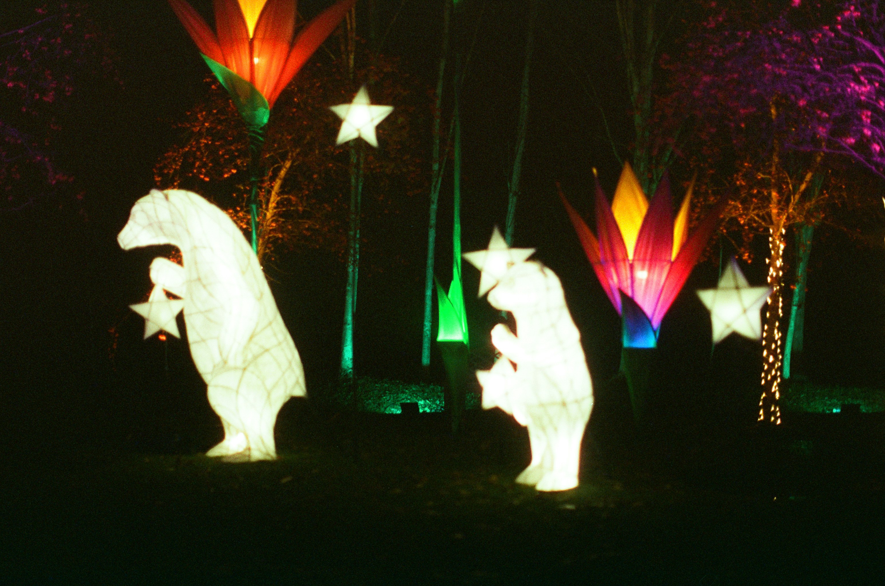 Photo by tanyabarrow