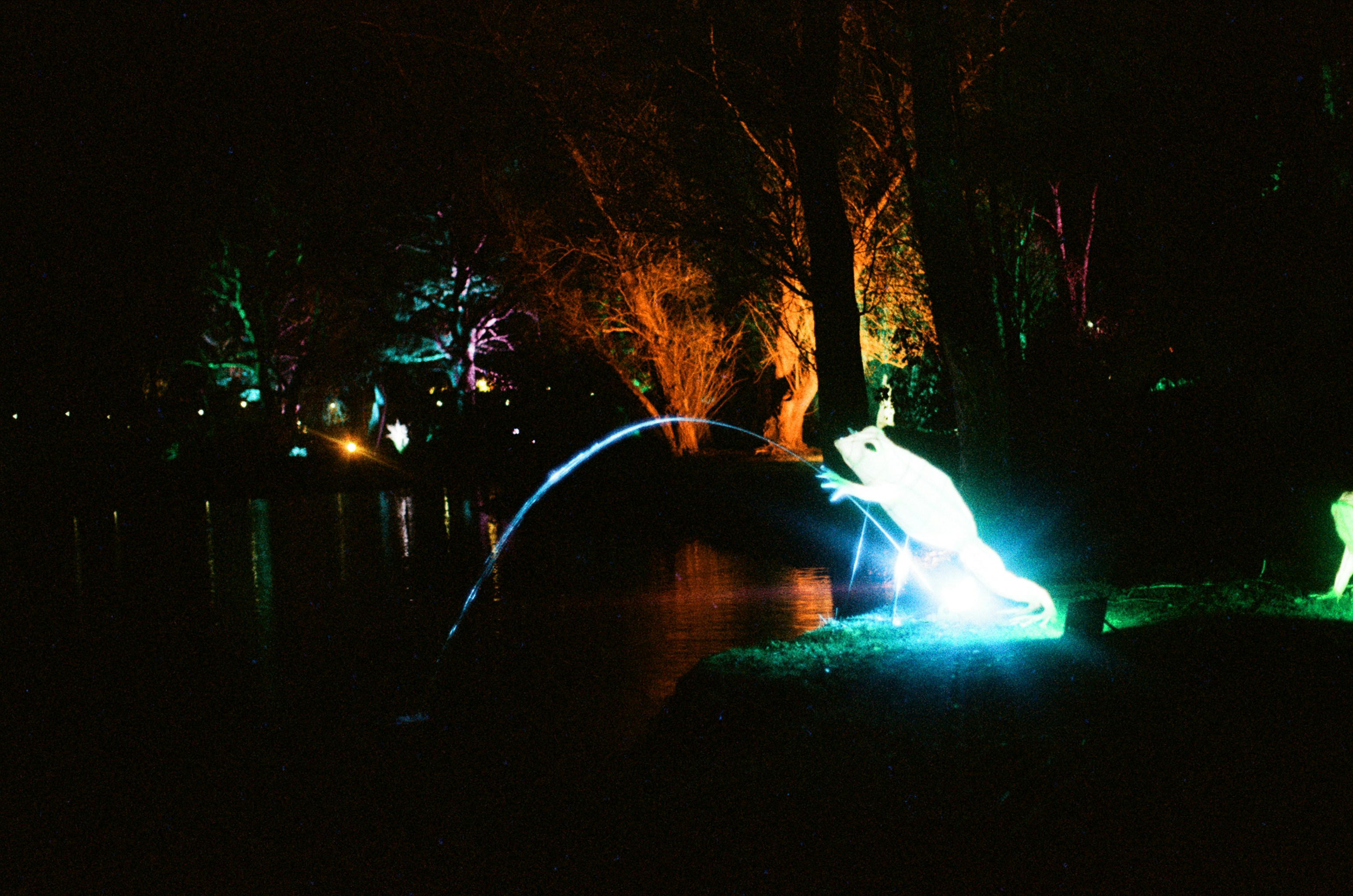 Photo by tanyabarrow