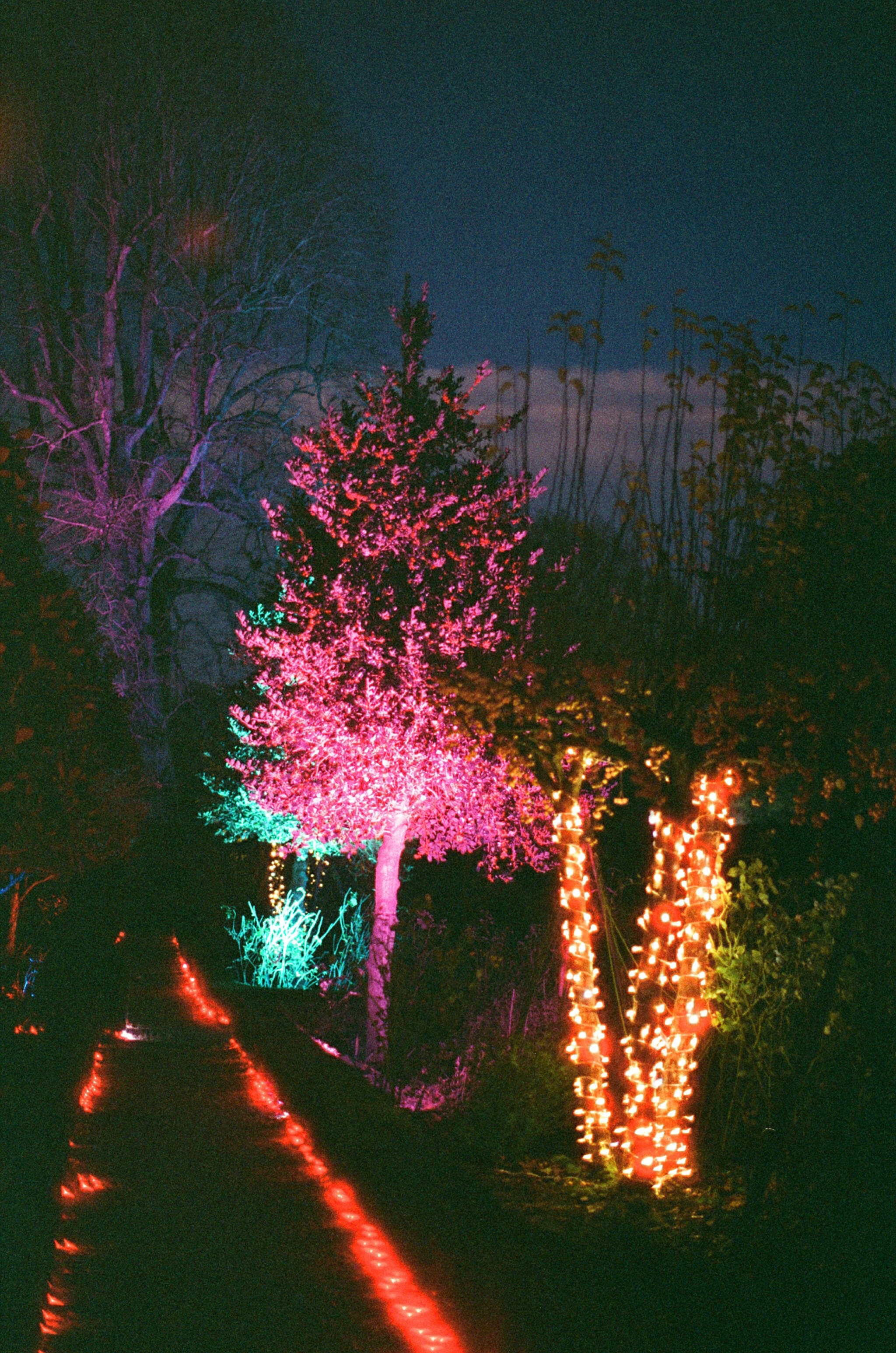 Photo by tanyabarrow