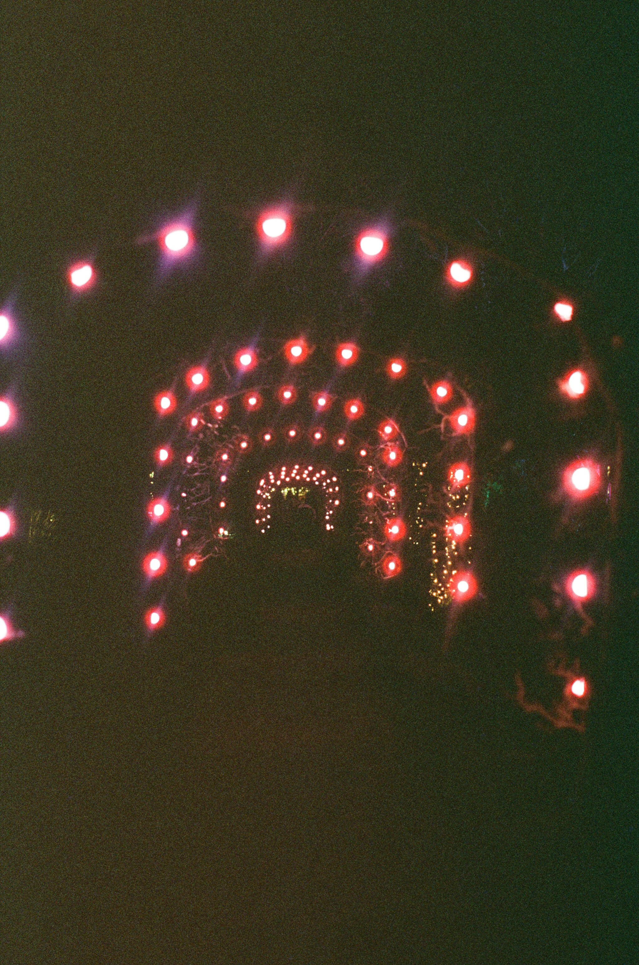 Photo by tanyabarrow