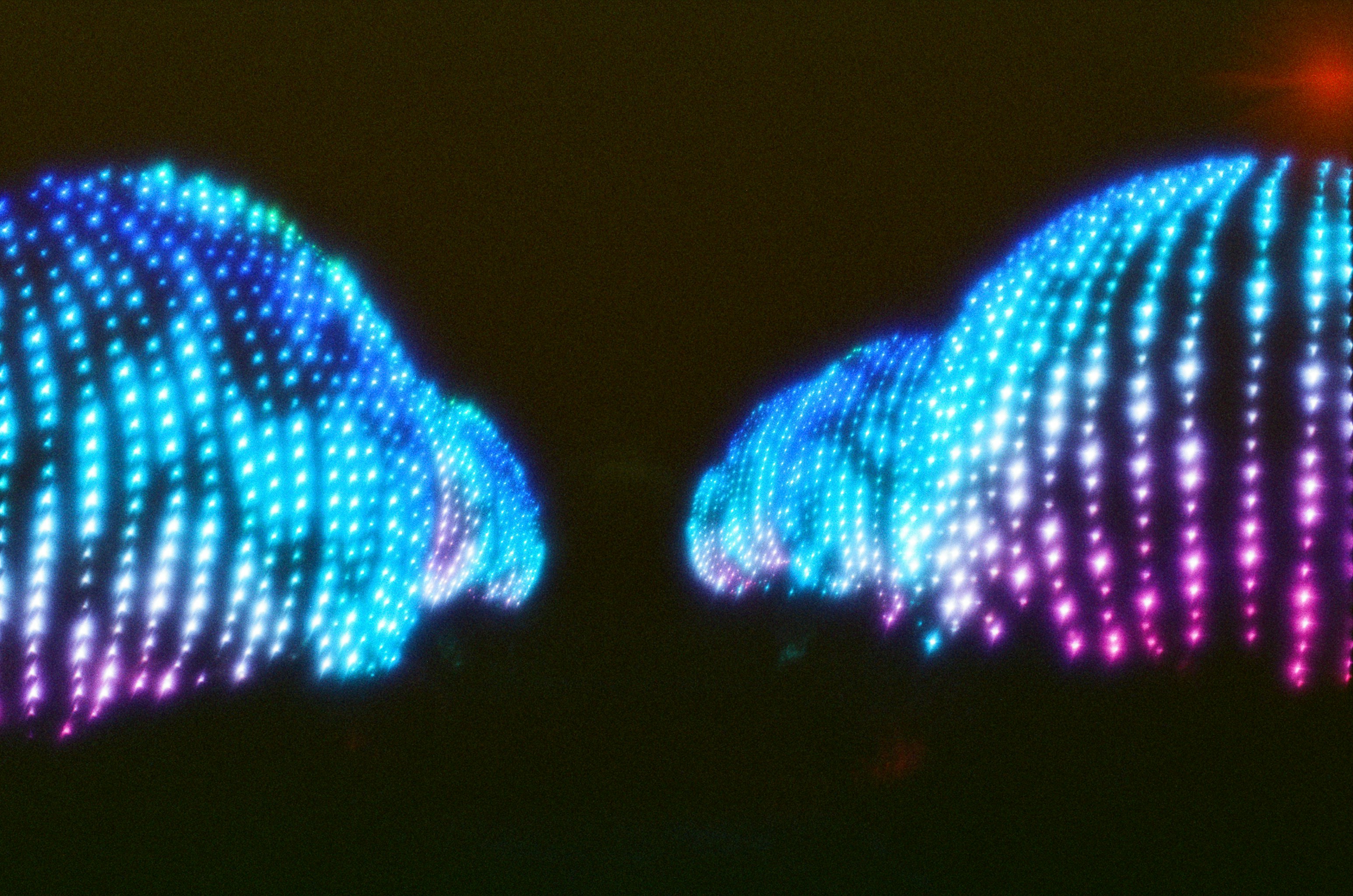 Two cars made of blue and pink lights
