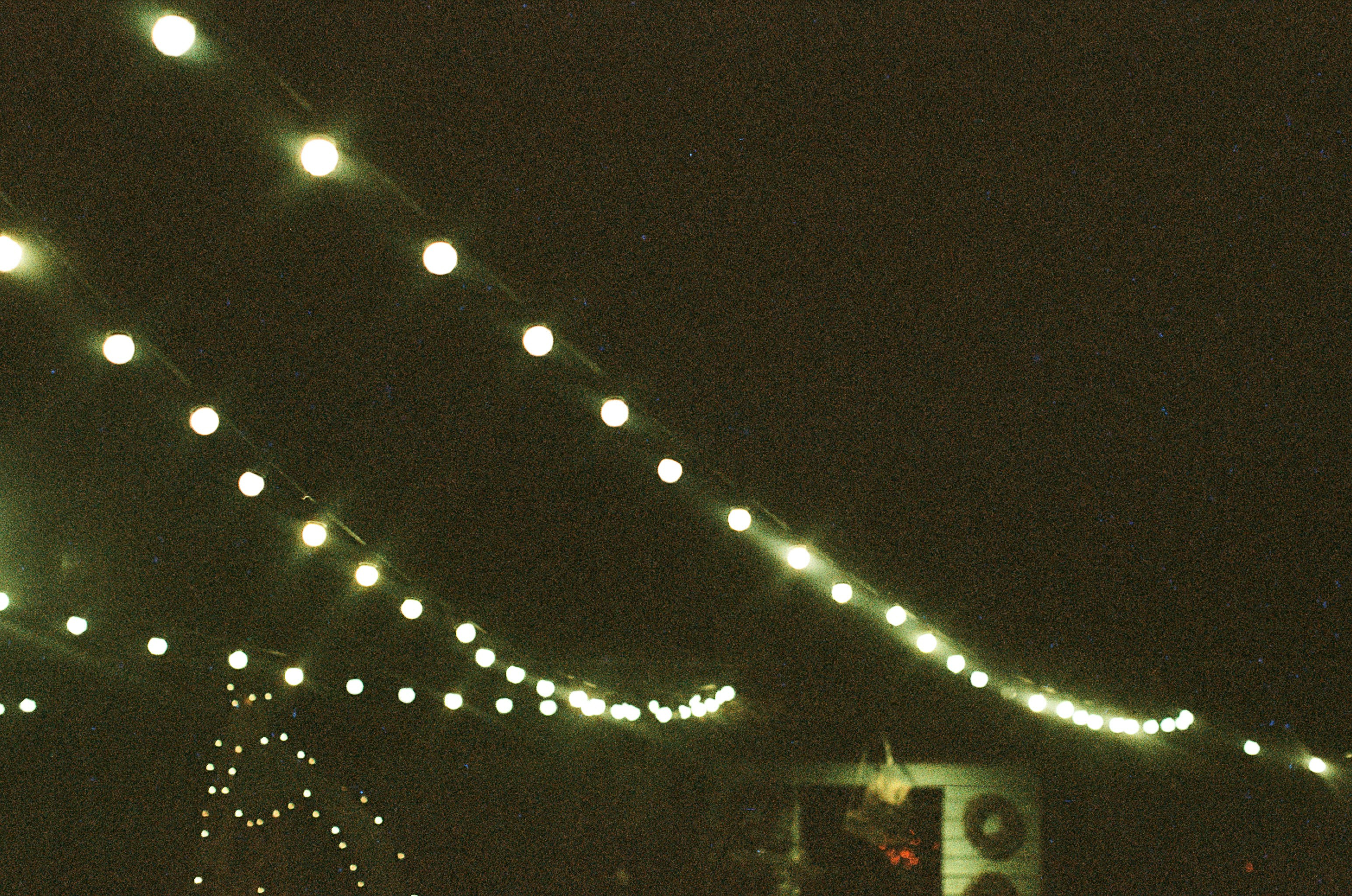 Photo by tanyabarrow