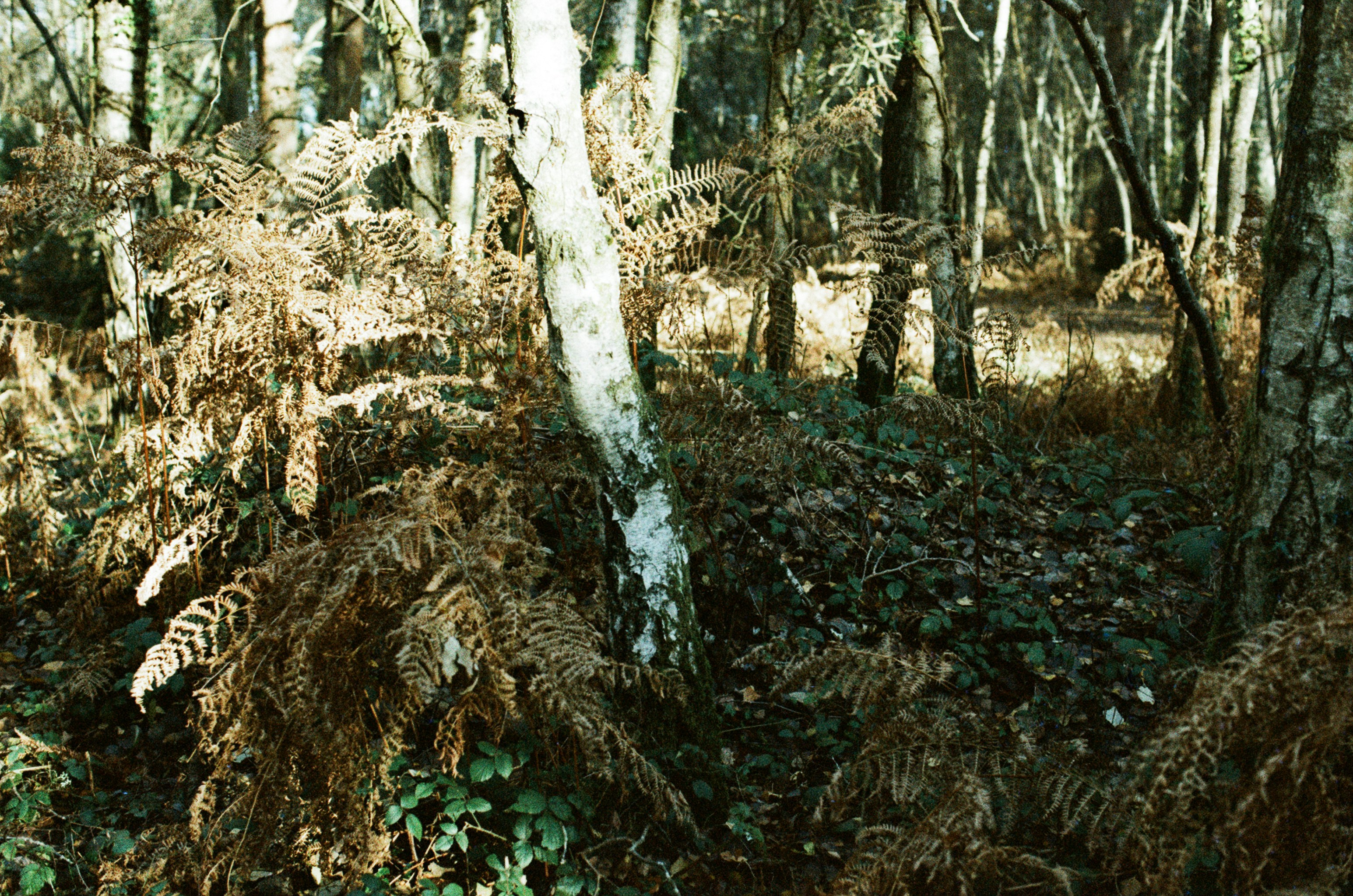 Photo by tanyabarrow