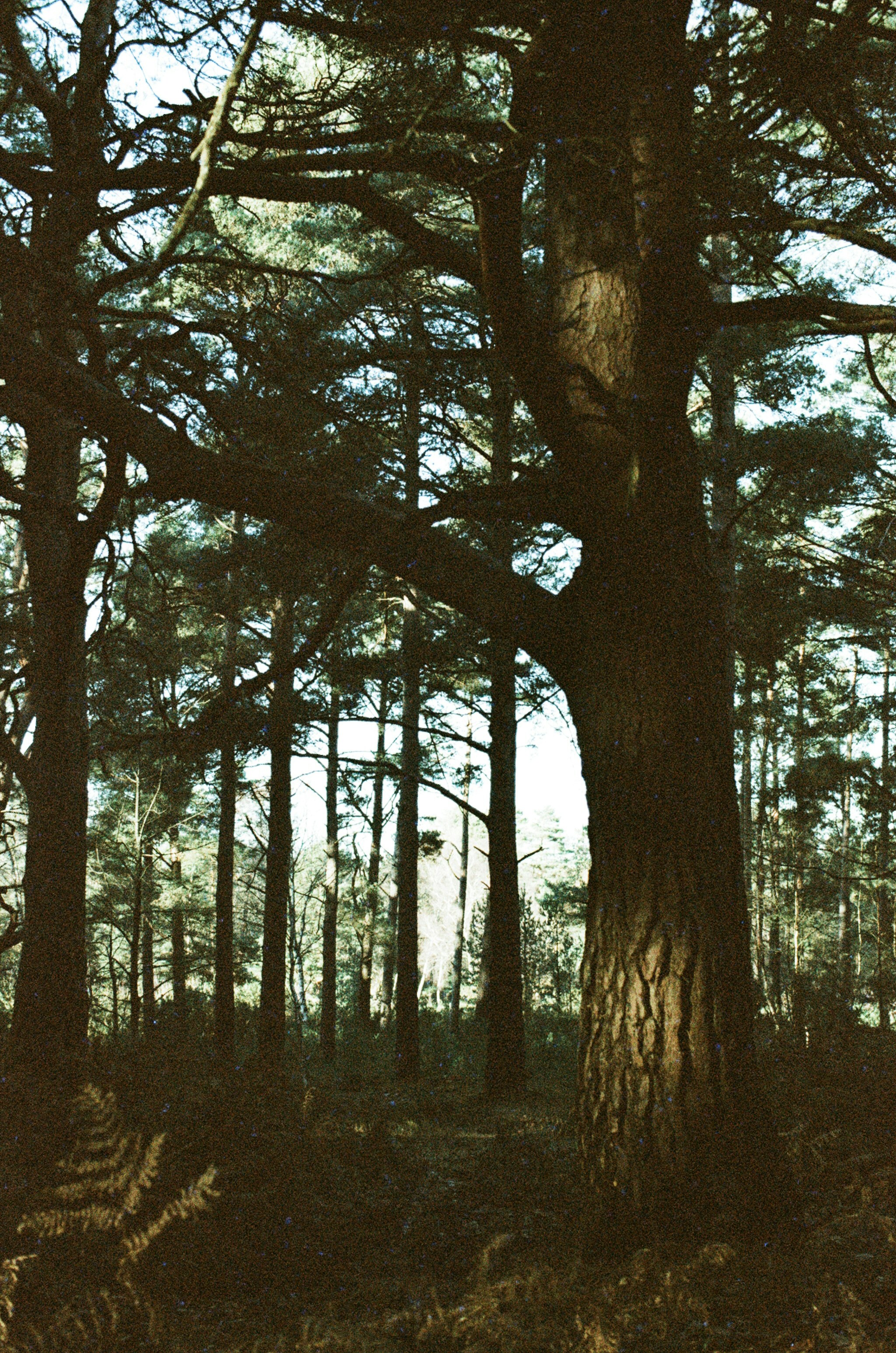 Photo by tanyabarrow