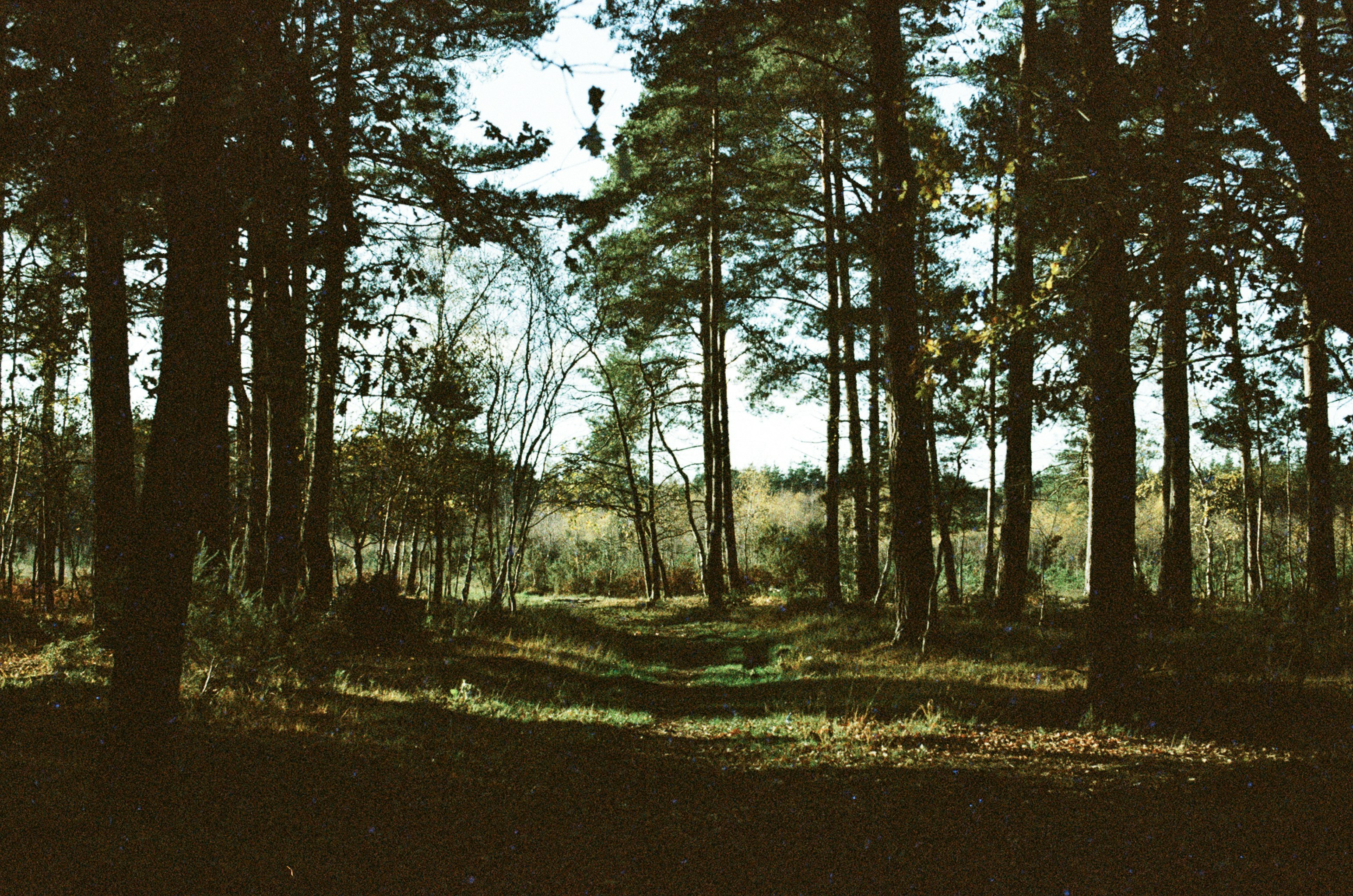 Photo by tanyabarrow