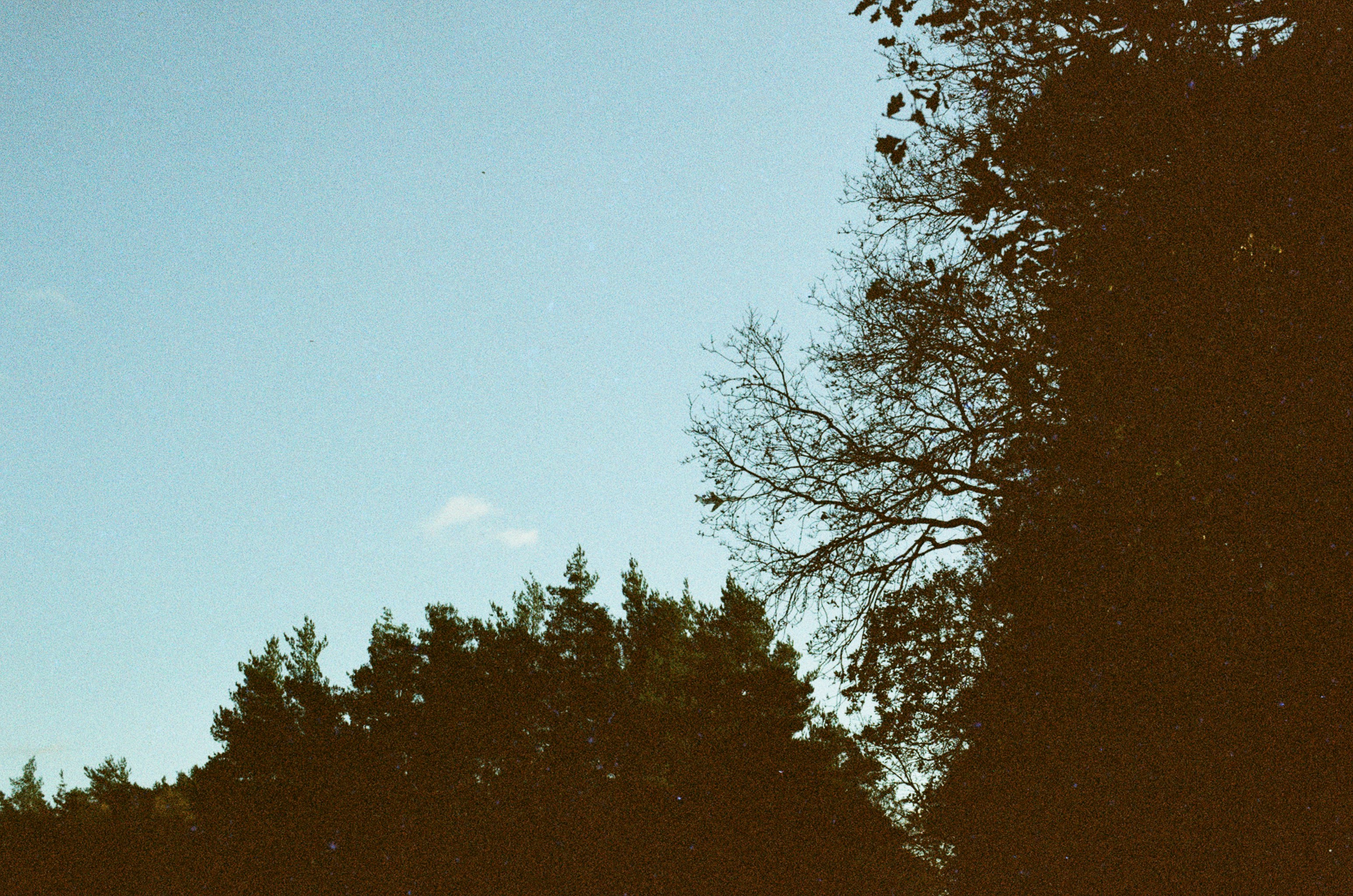 Photo by tanyabarrow