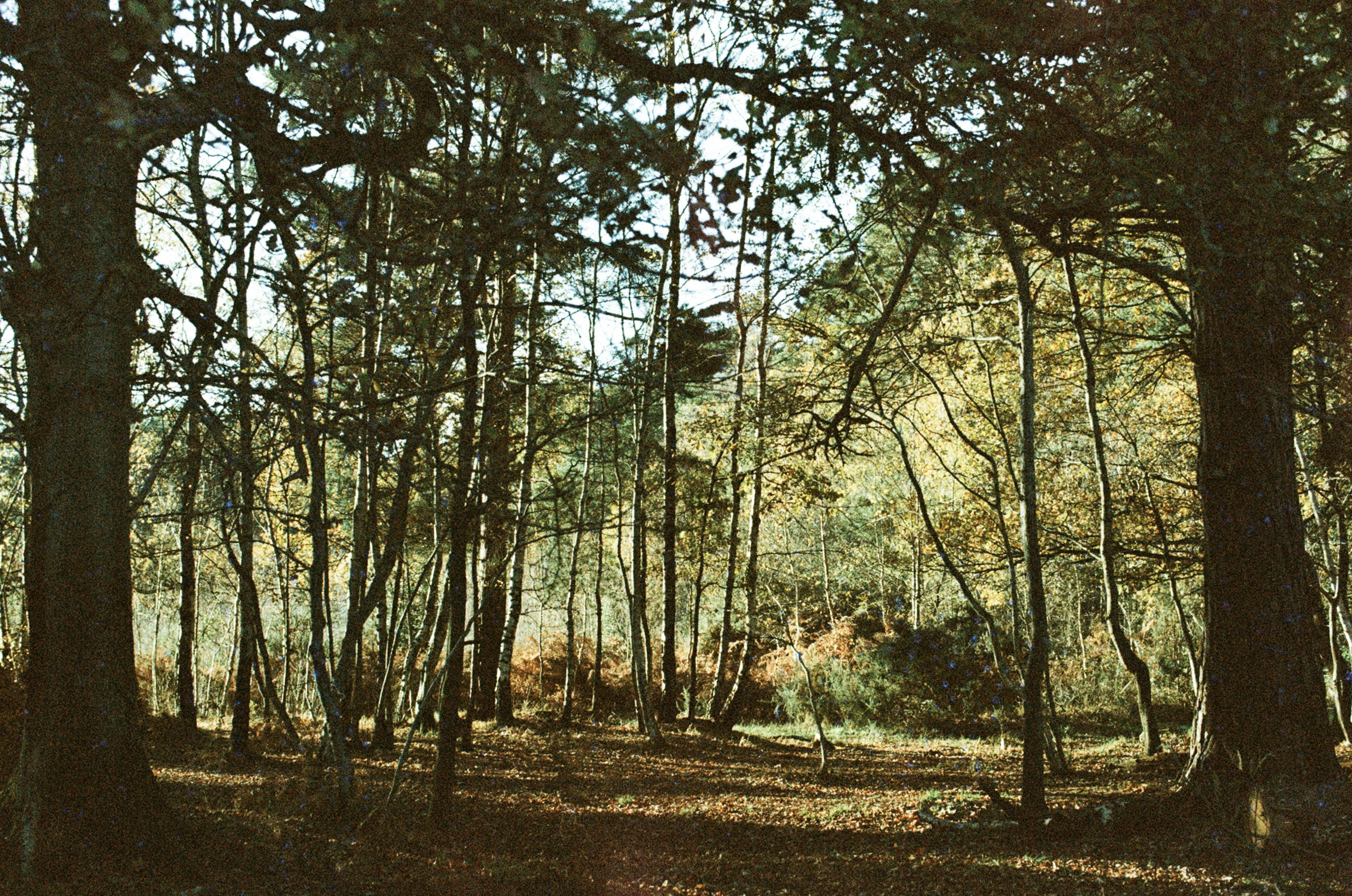 Semaglutide in De Forest, WI: A Local Guide to Modern GLP-1 Weight-Loss Care