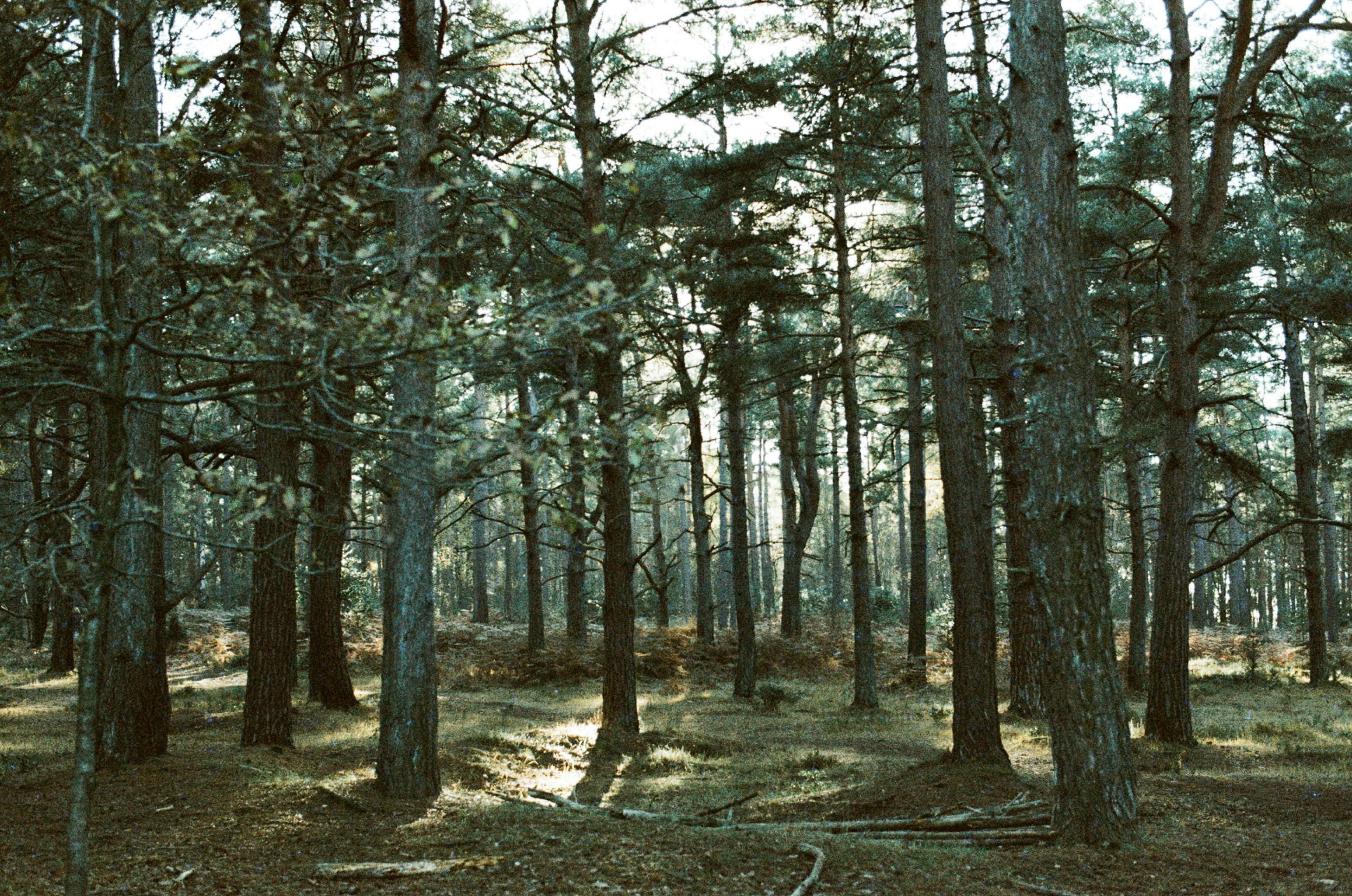 Photo by tanyabarrow