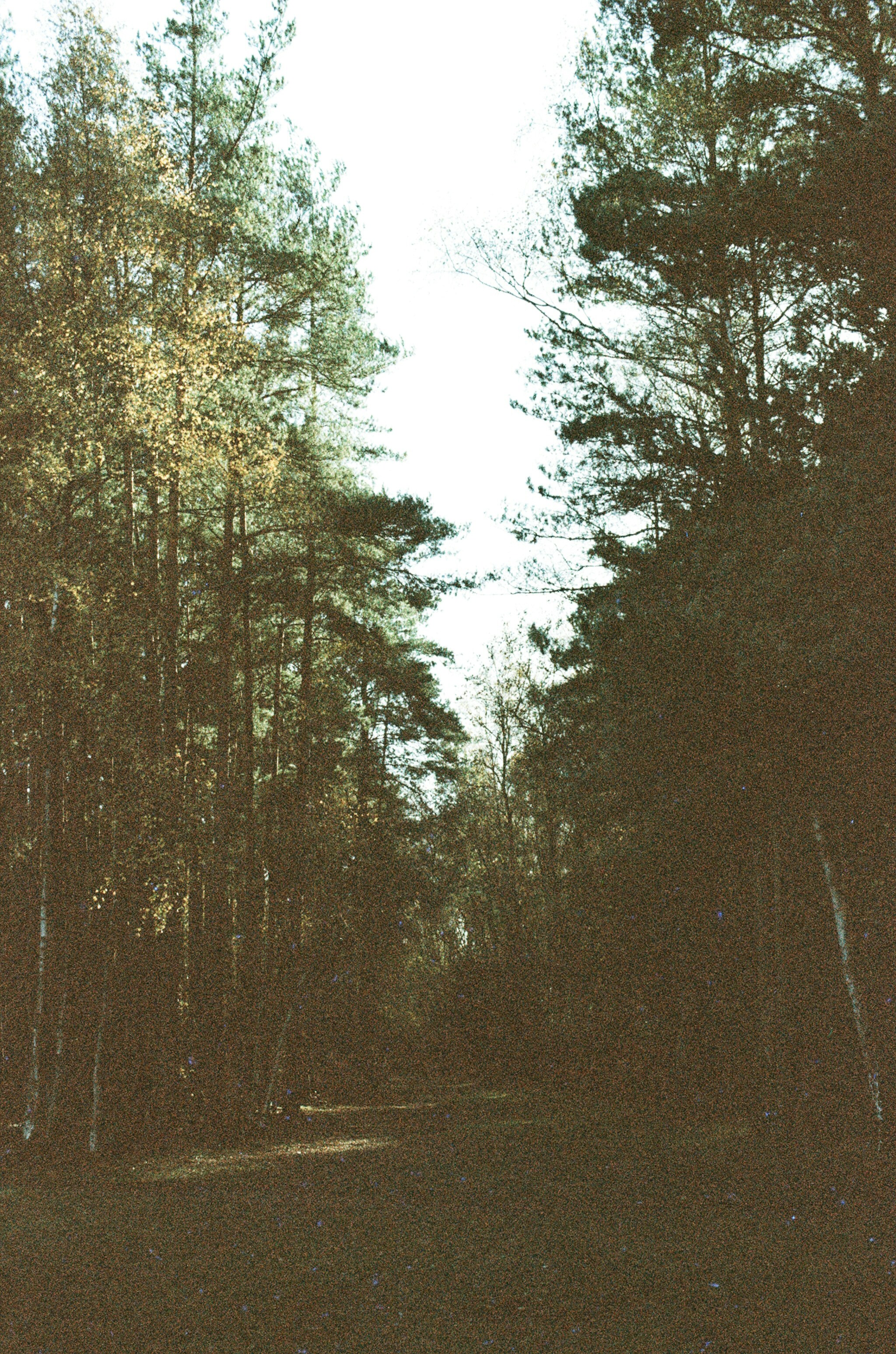 Photo by tanyabarrow