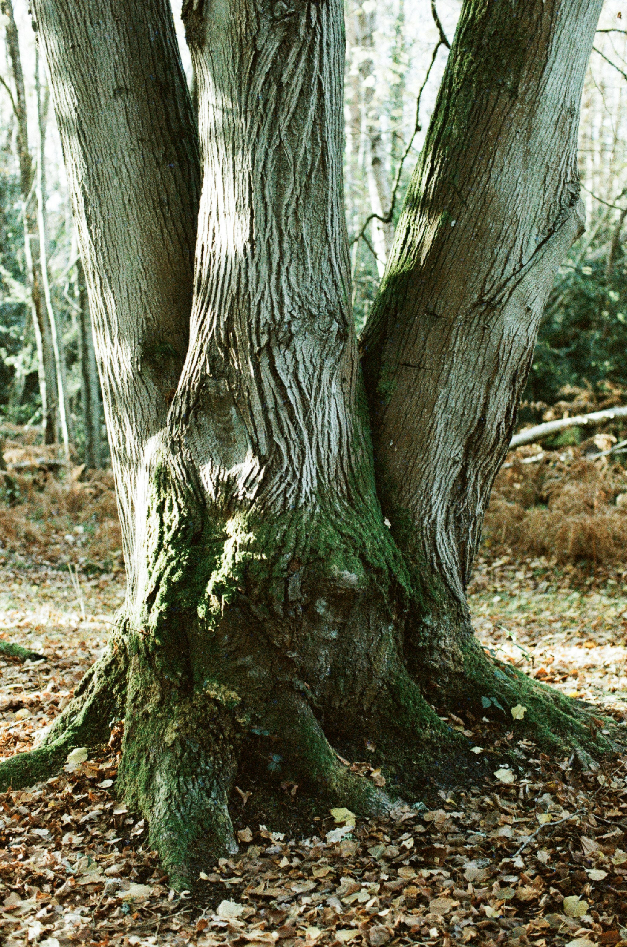 Photo by tanyabarrow