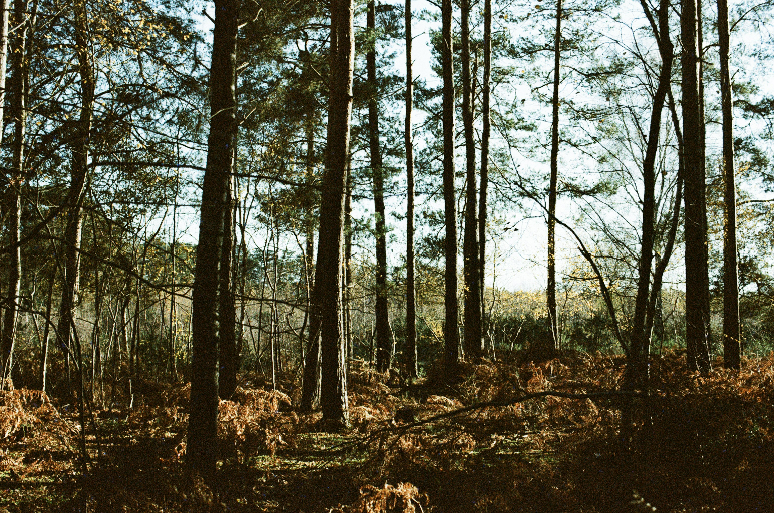 Photo by tanyabarrow