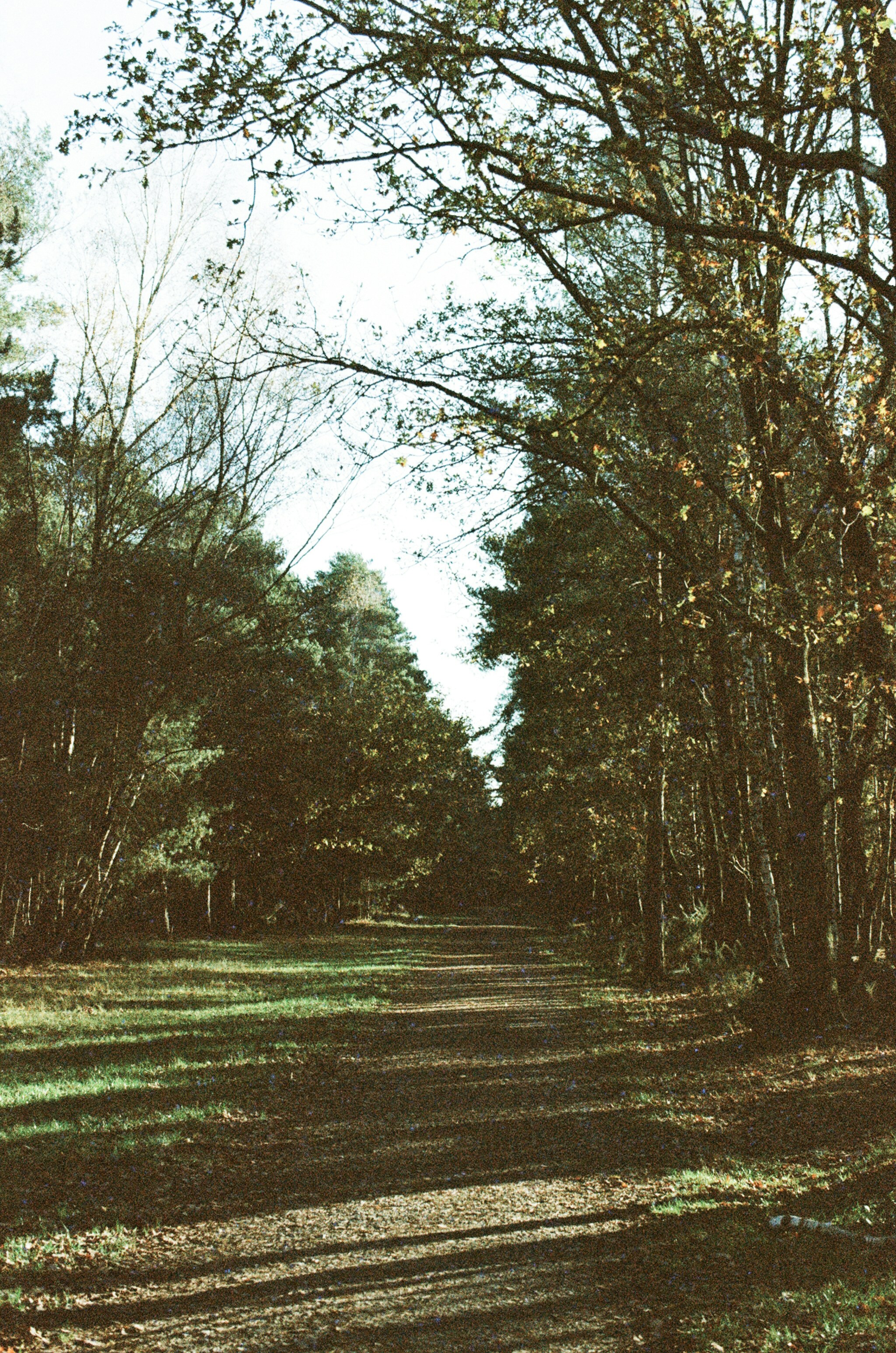 Photo by tanyabarrow