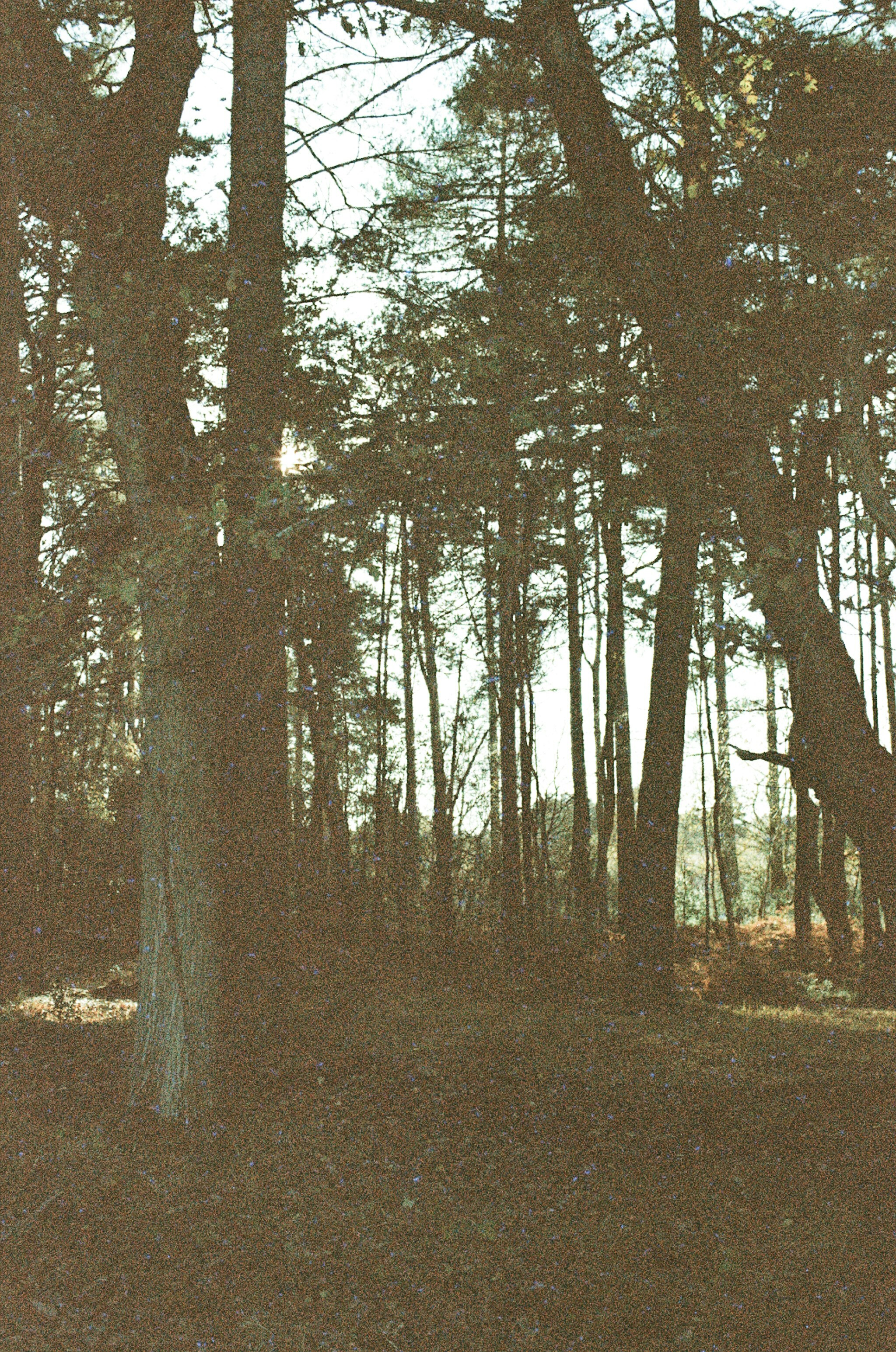 Photo by tanyabarrow