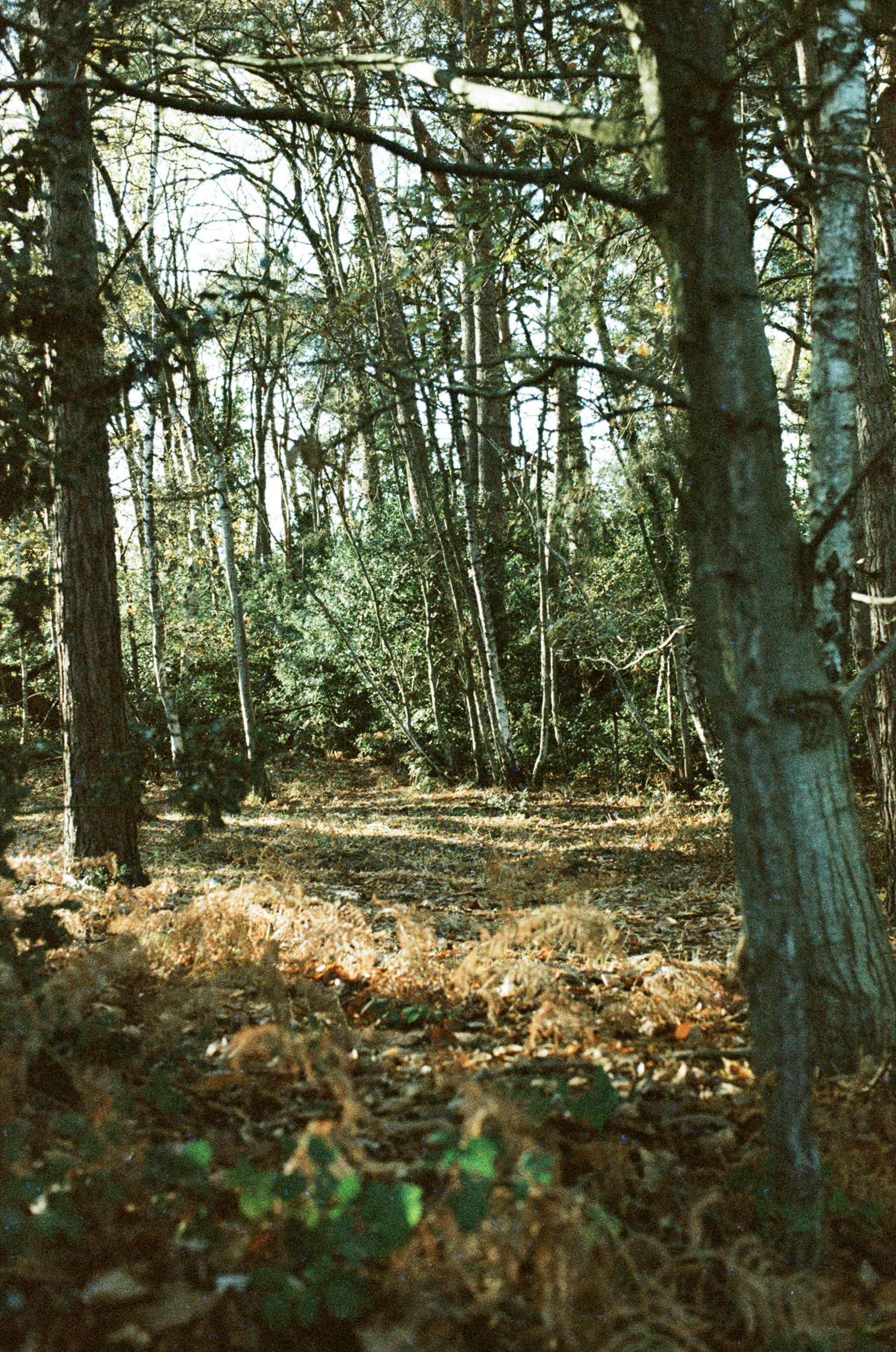 Photo by tanyabarrow