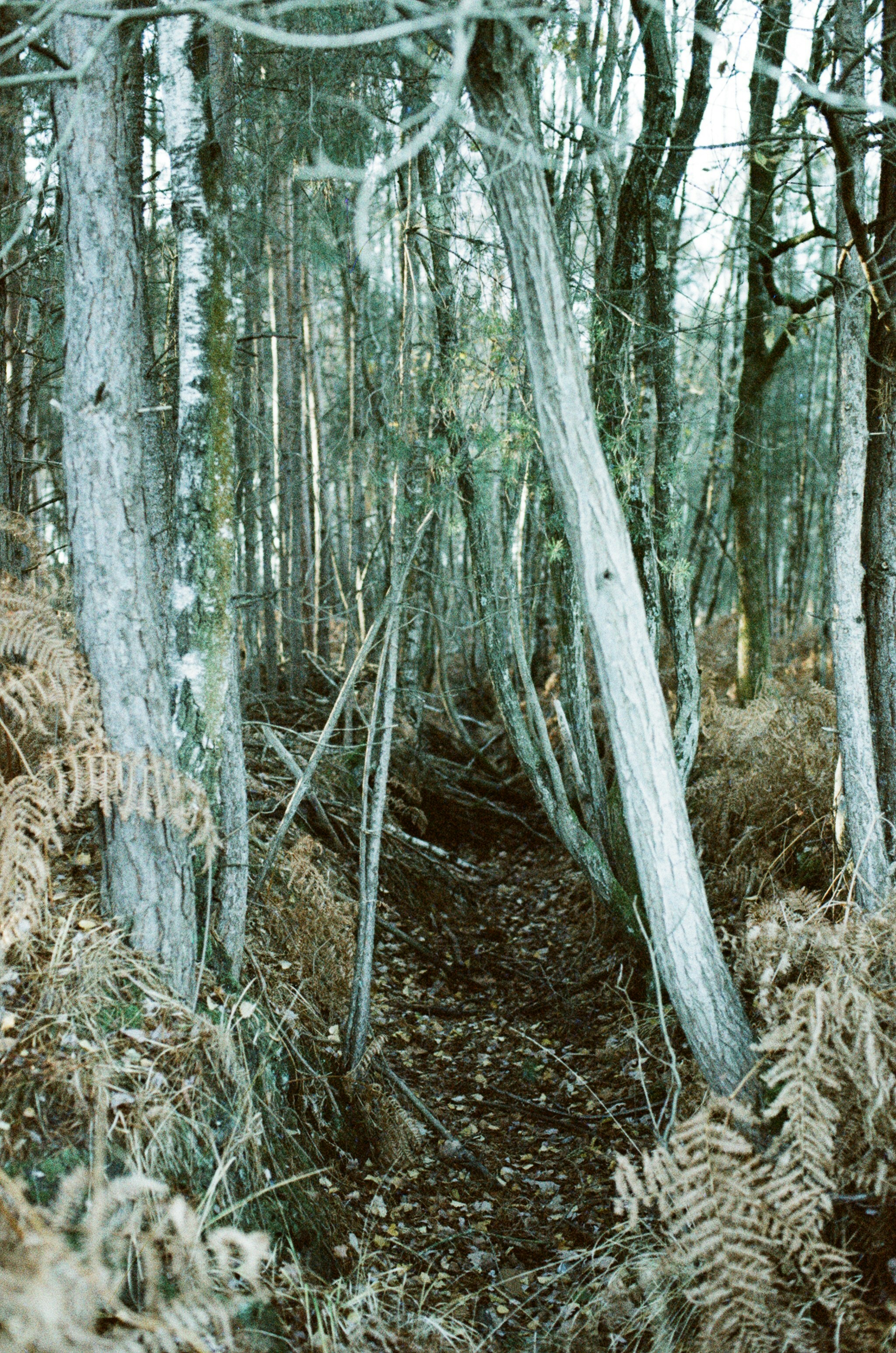 Photo by tanyabarrow