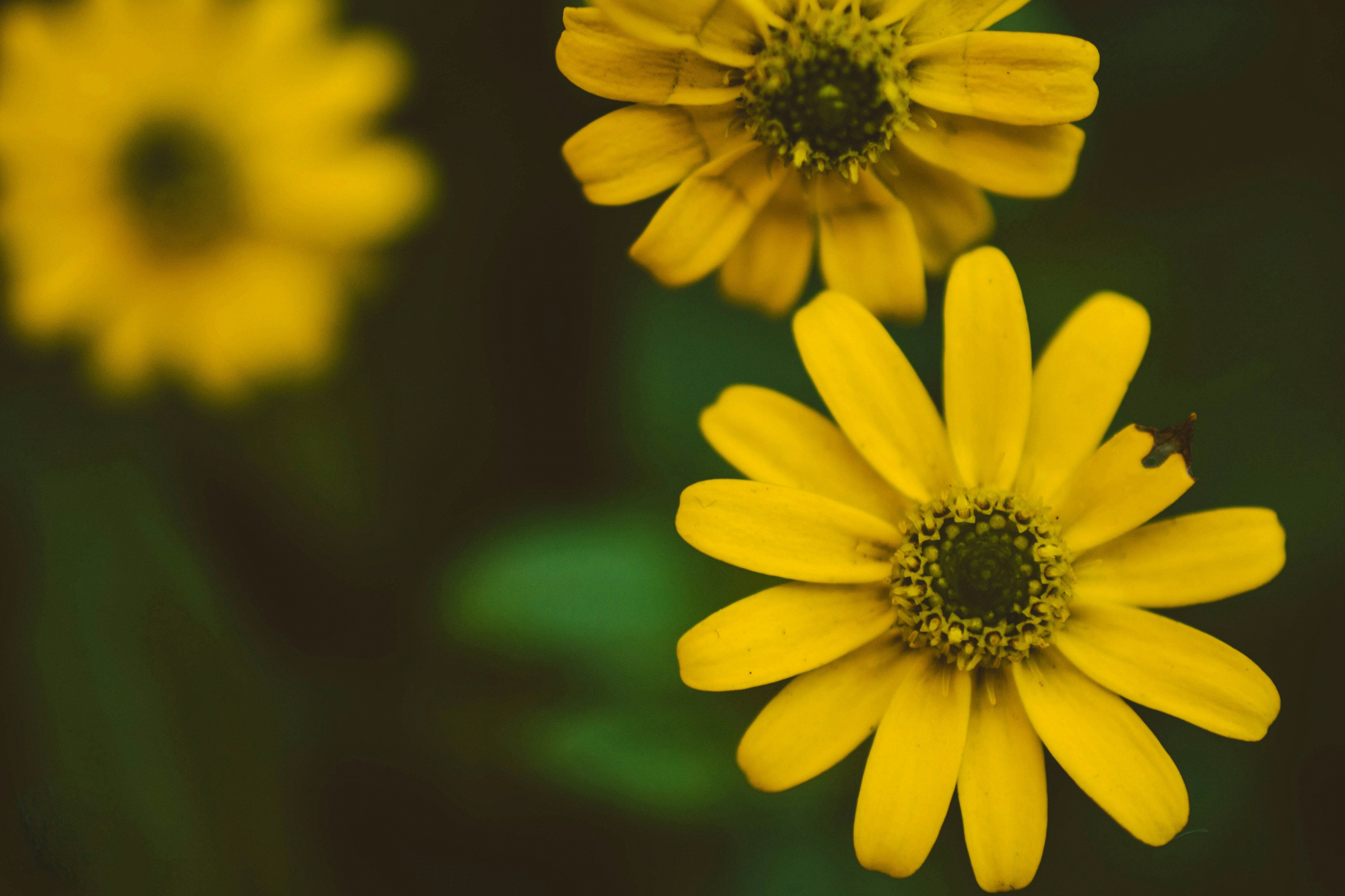 Photo by atelierbyvineeth