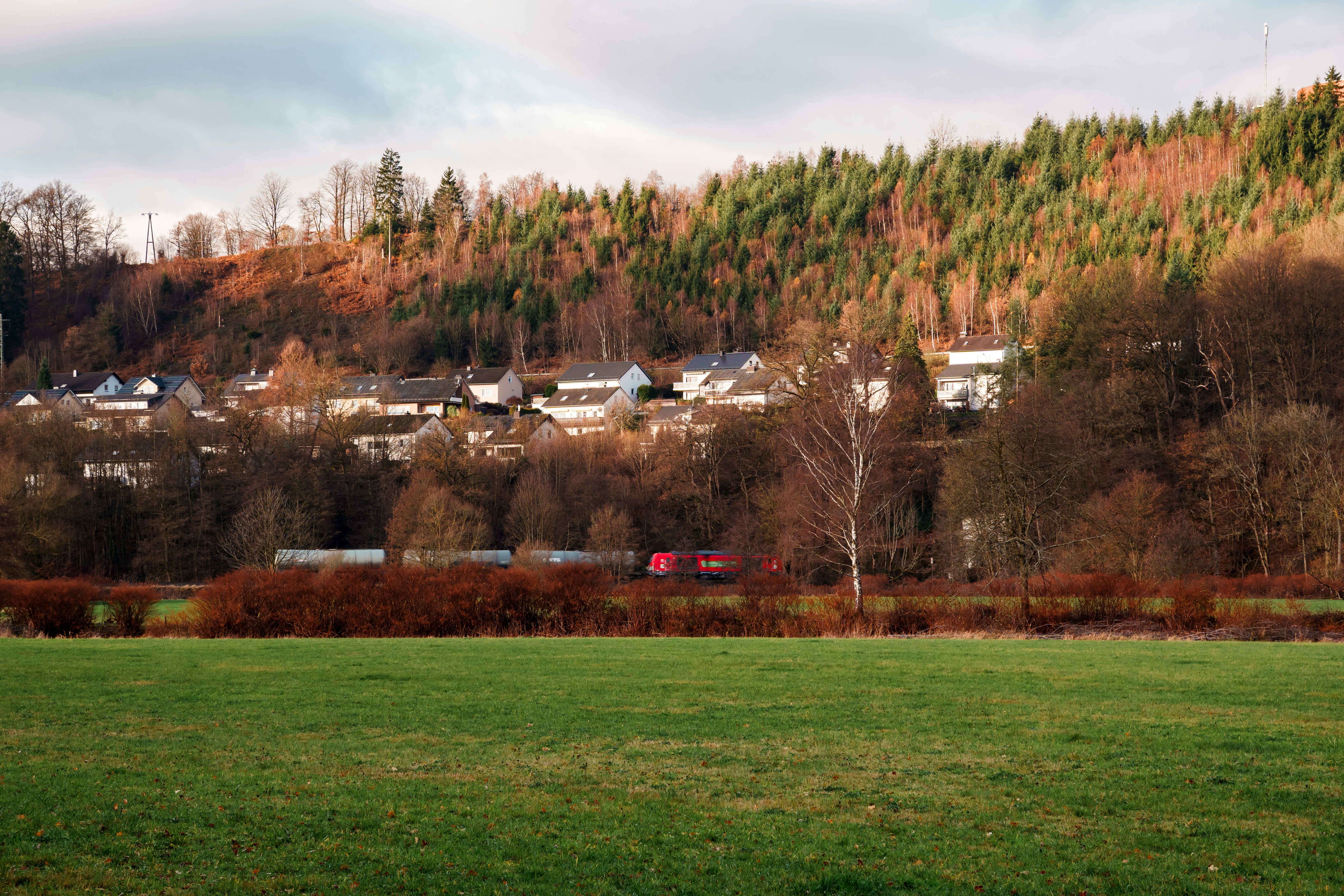 A train passes through a small village in the forest.