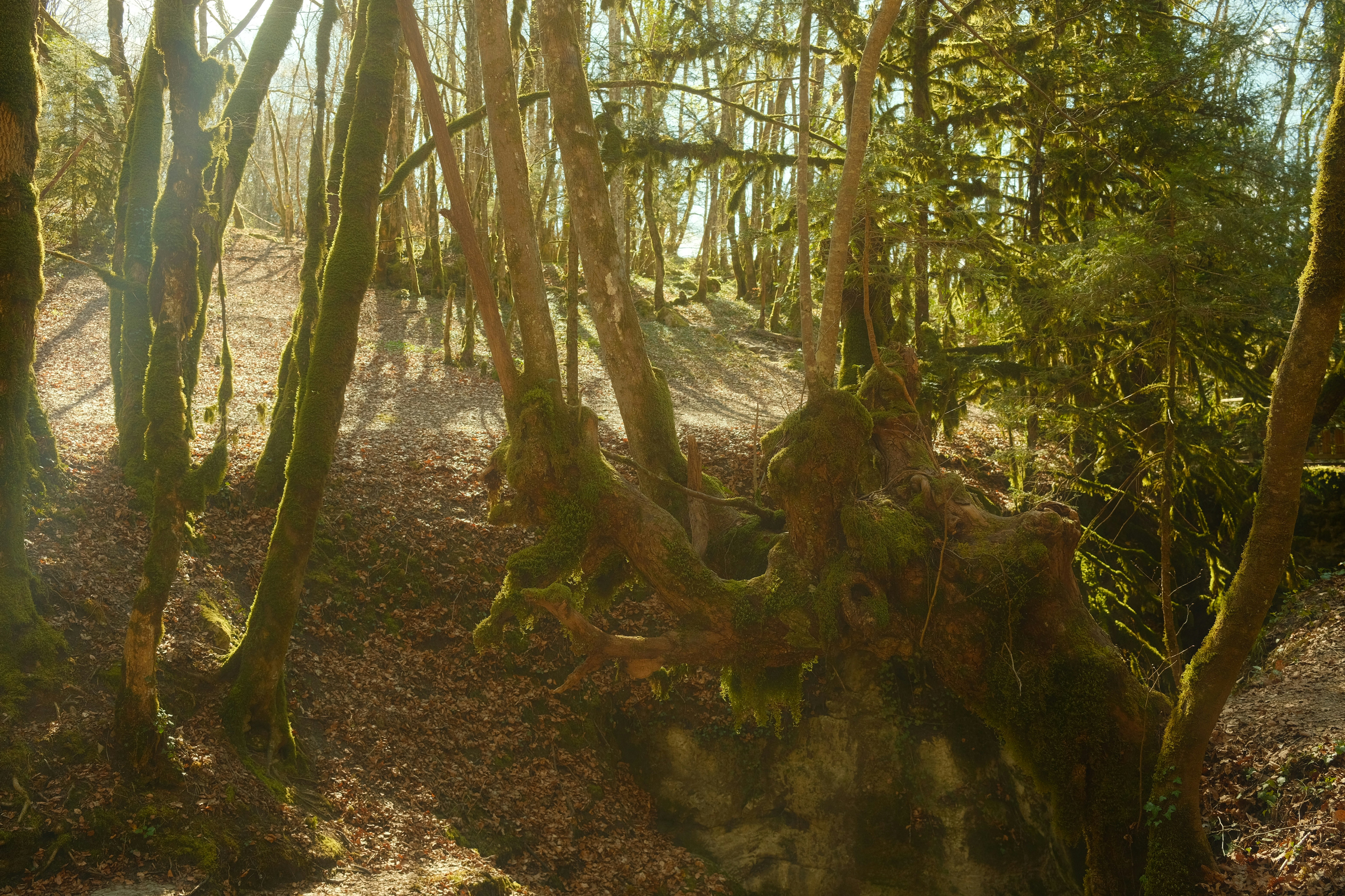 Photo by valentinlacoste