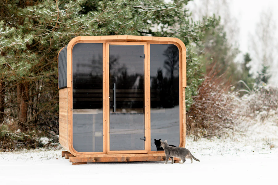 A glass-fronted sauna in the snow