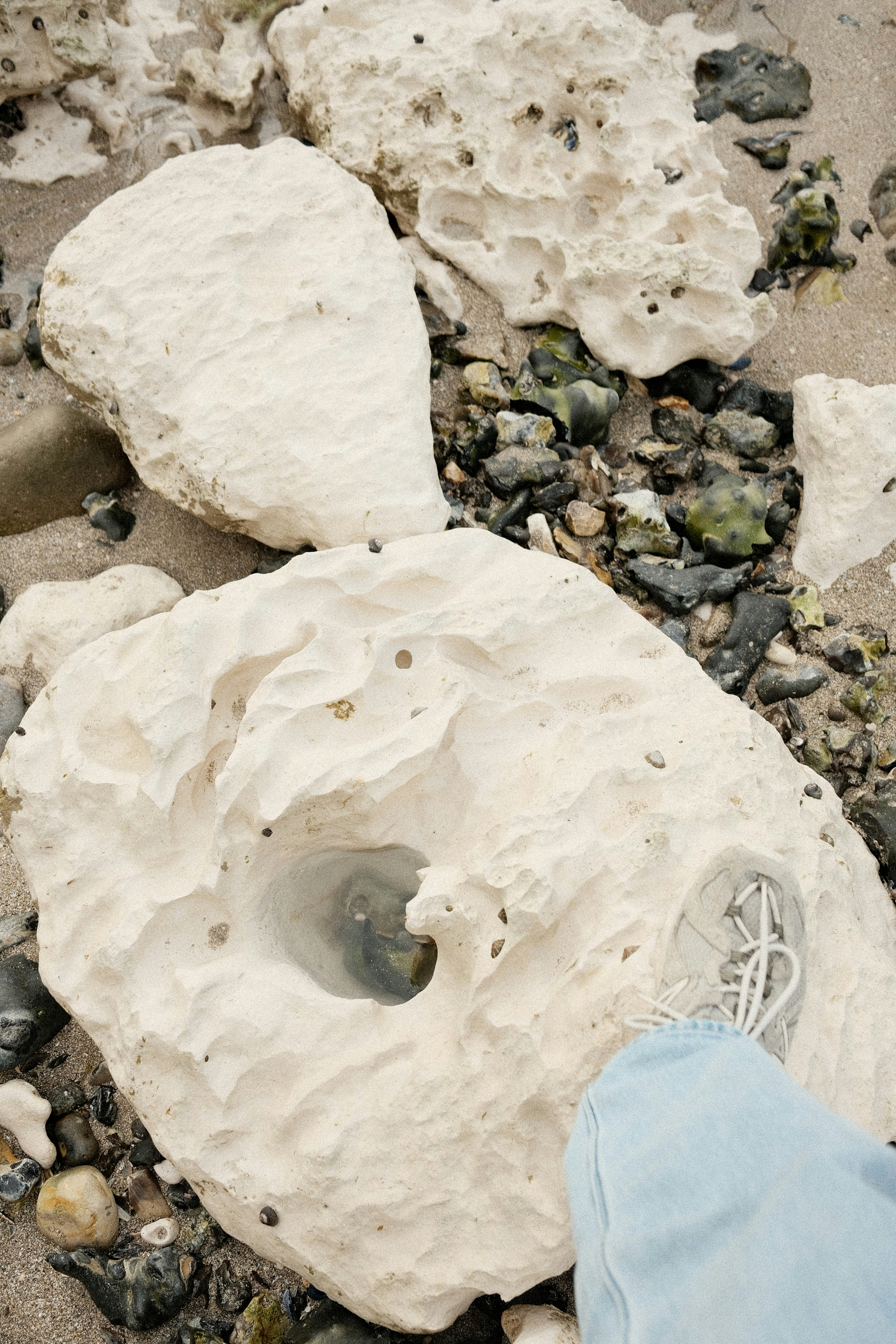 Foot steps on a rocky beach with large white stones