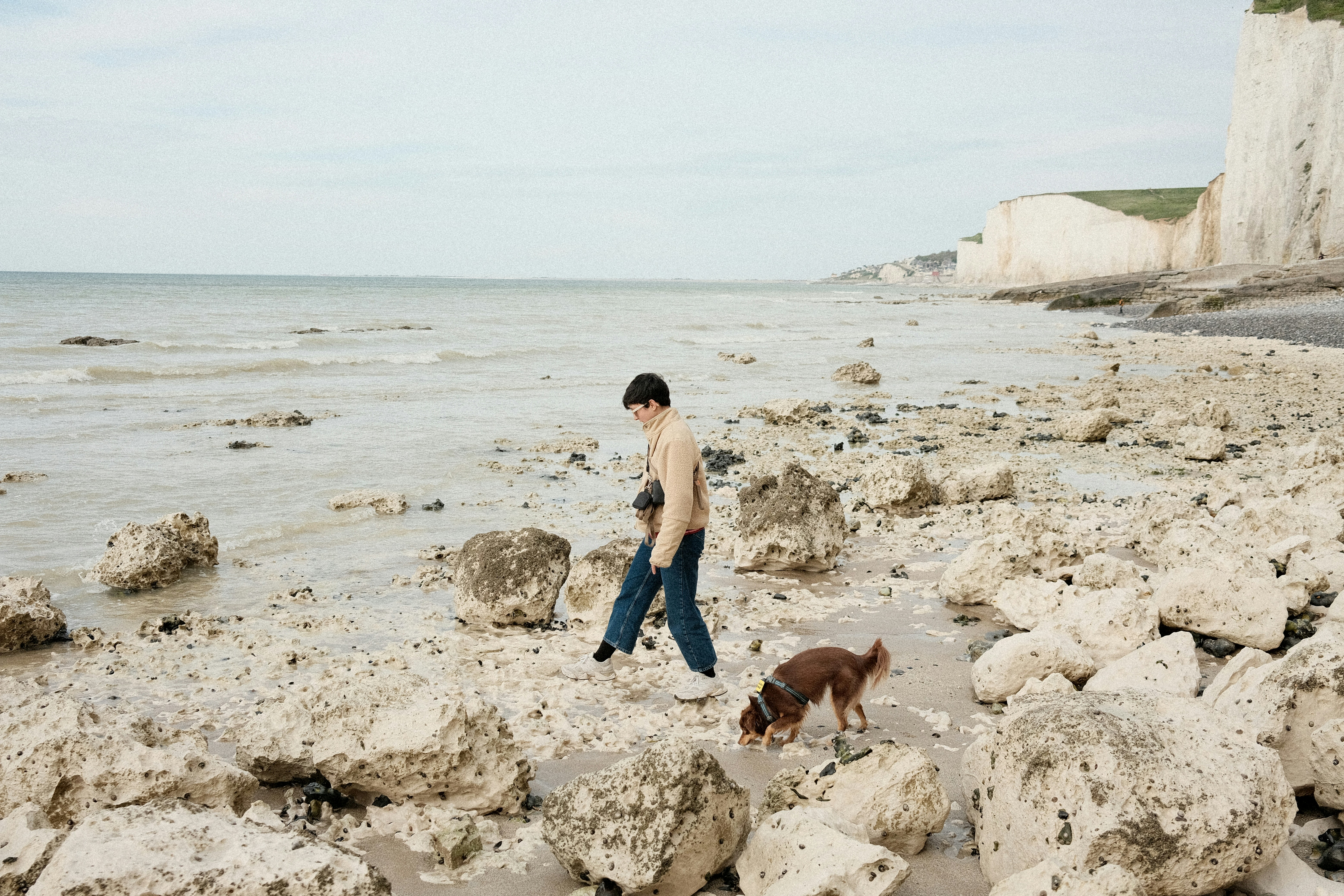 Ways Insurance Policy Agents Aid Homeowners In Discovering Perfect Home Insurance Policy Coverage