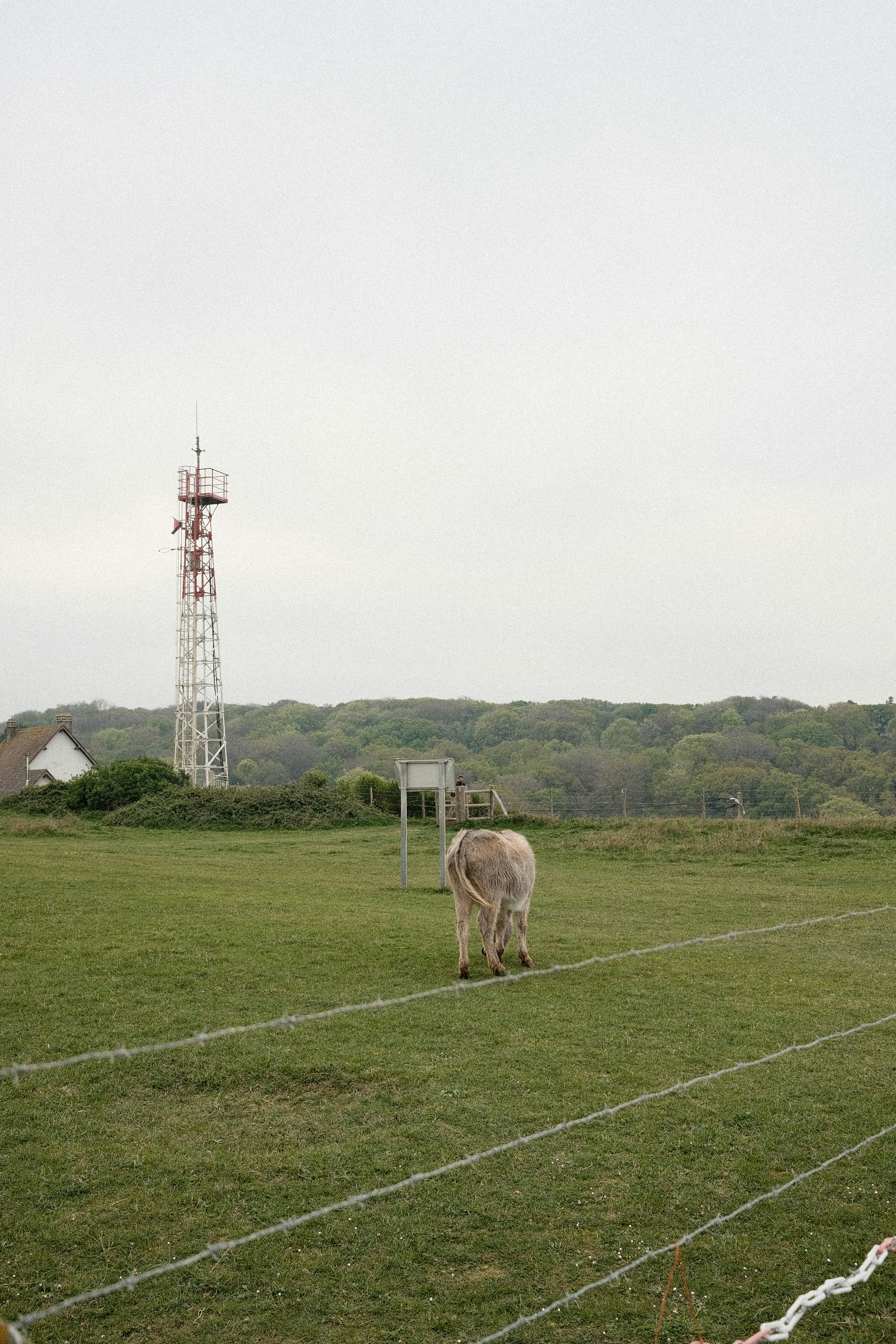 Field Report: Night Markets, Pop‑Ups & Physical Deal Activation — What Works in 2026